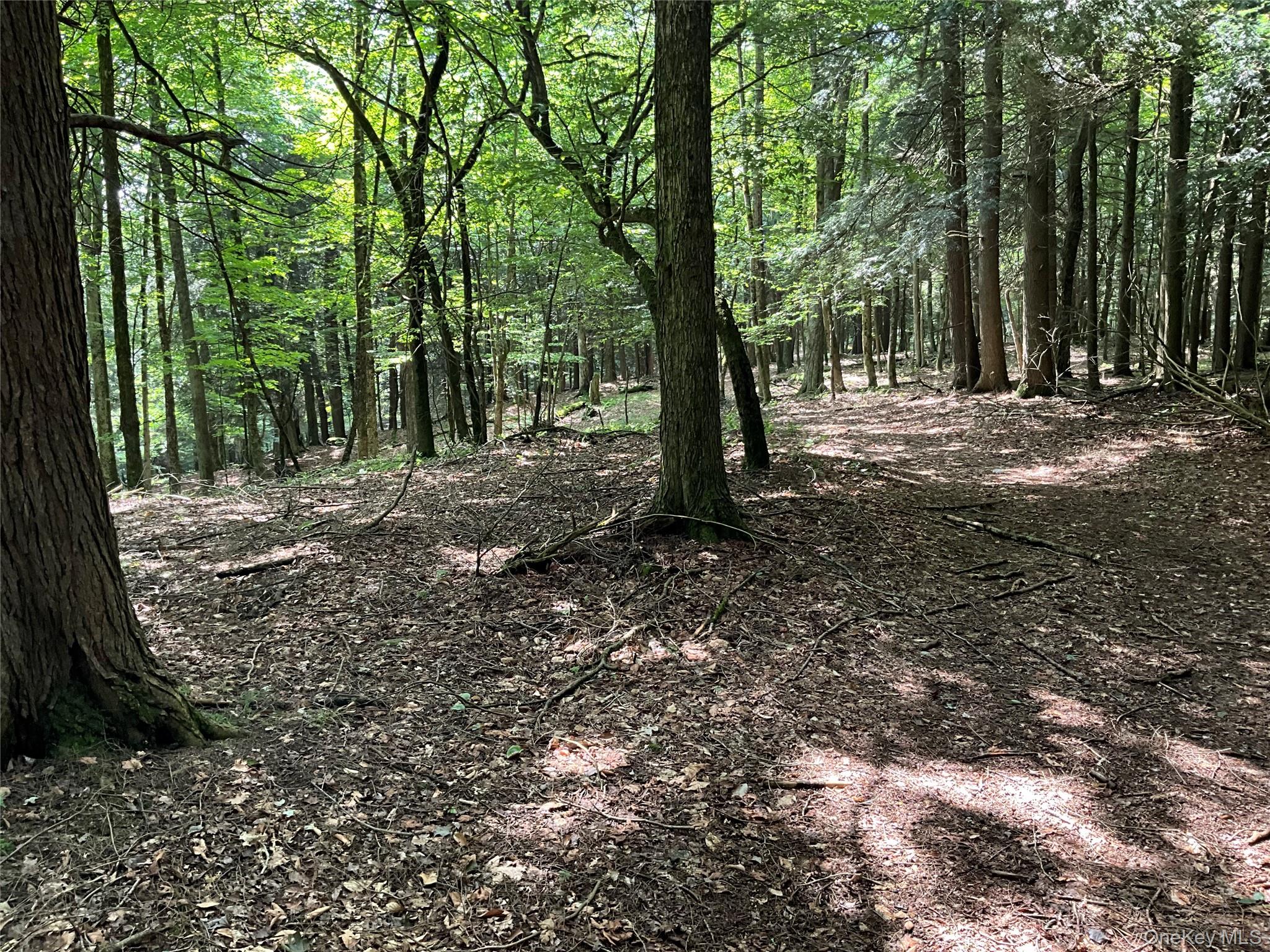 213 Button Rd, Other, NY 13438