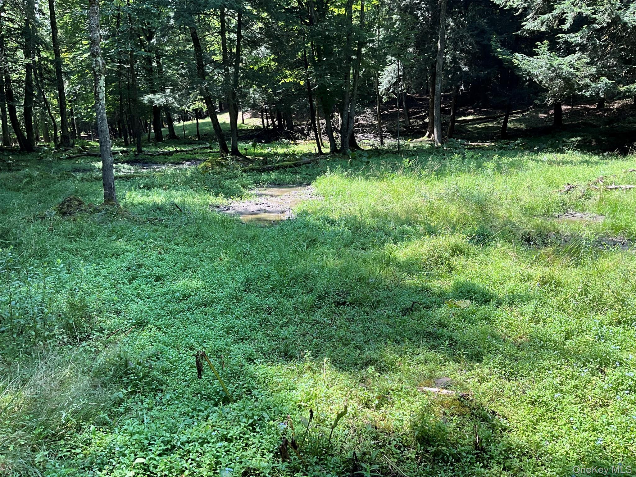 213 Button Rd, Other, NY 13438