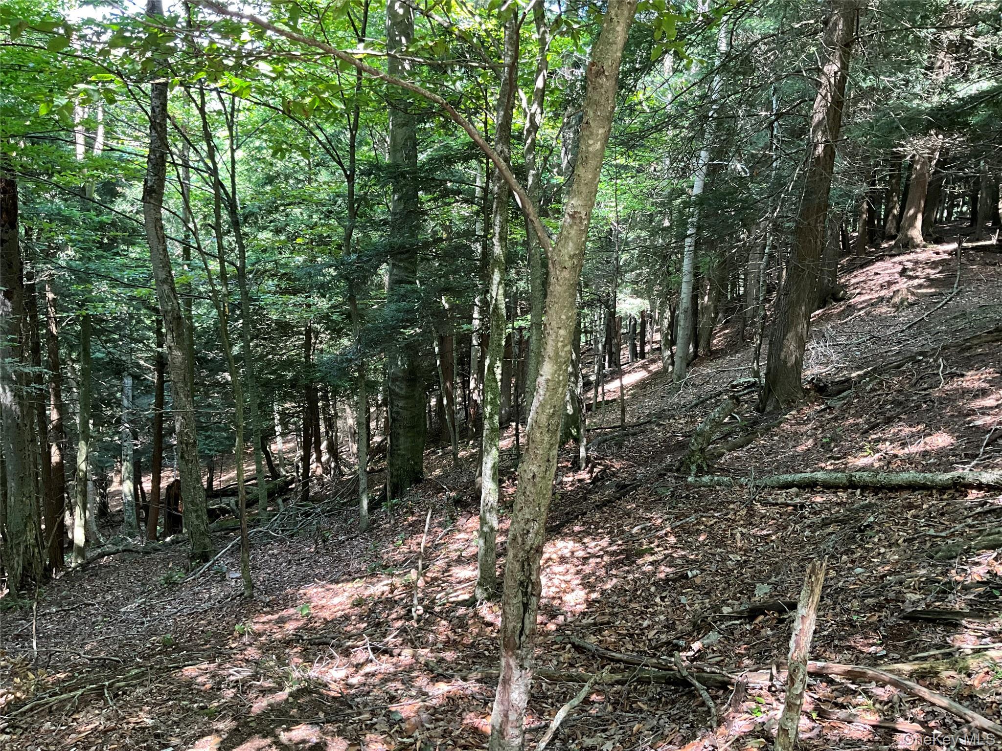 213 Button Rd, Other, NY 13438