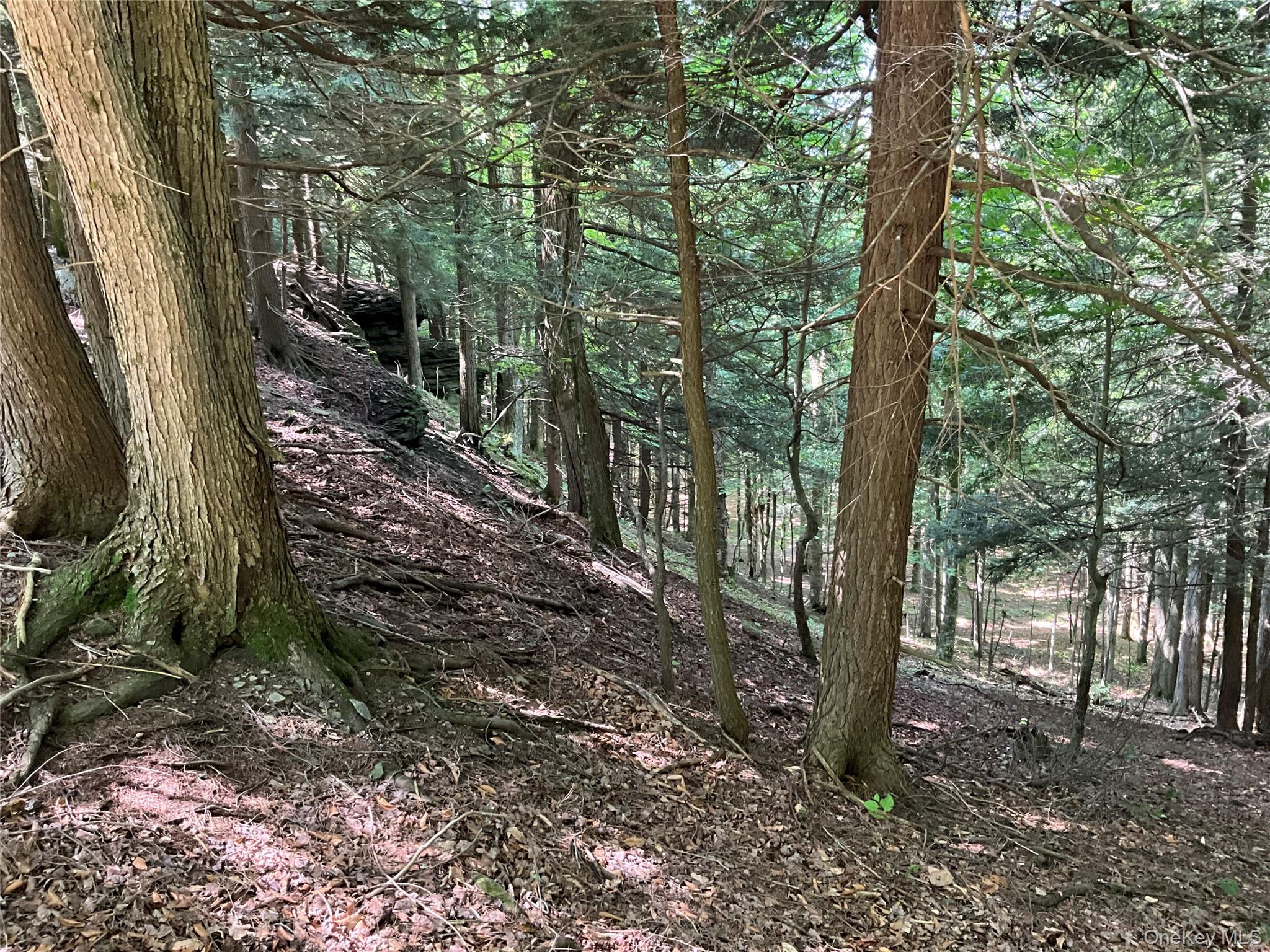 213 Button Rd, Other, NY 13438