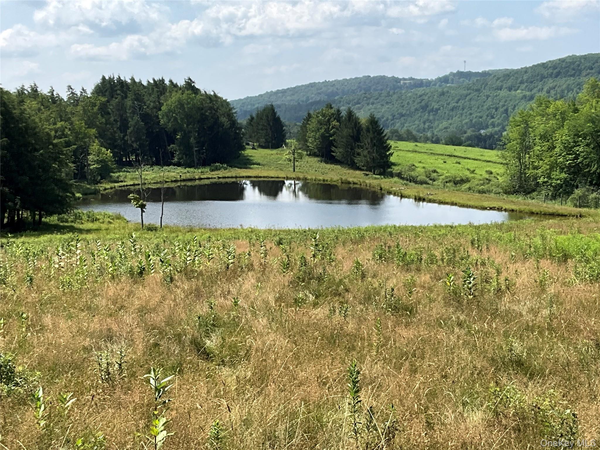 213 Button Rd, Other, NY 13438