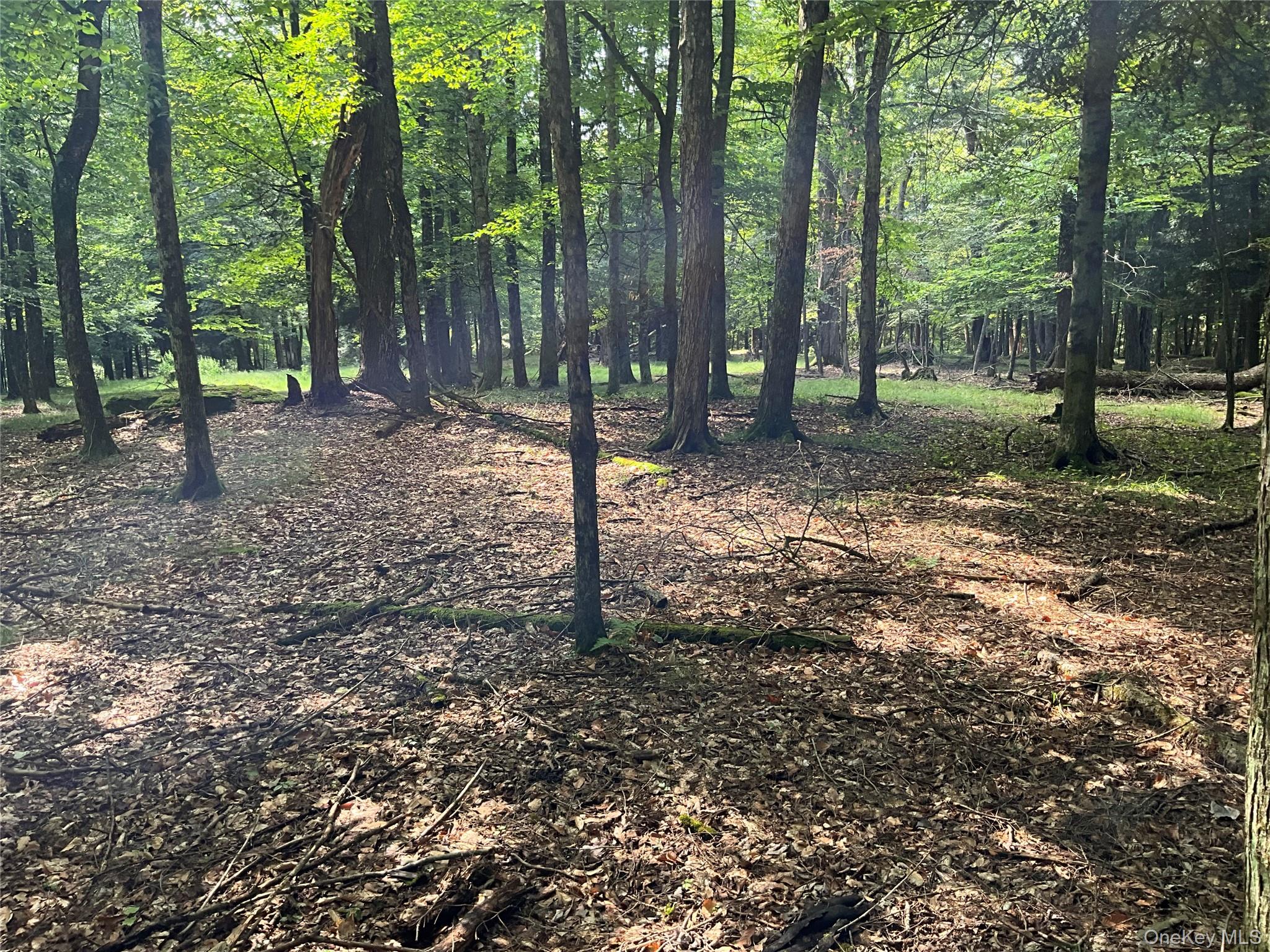 213 Button Rd, Other, NY 13438