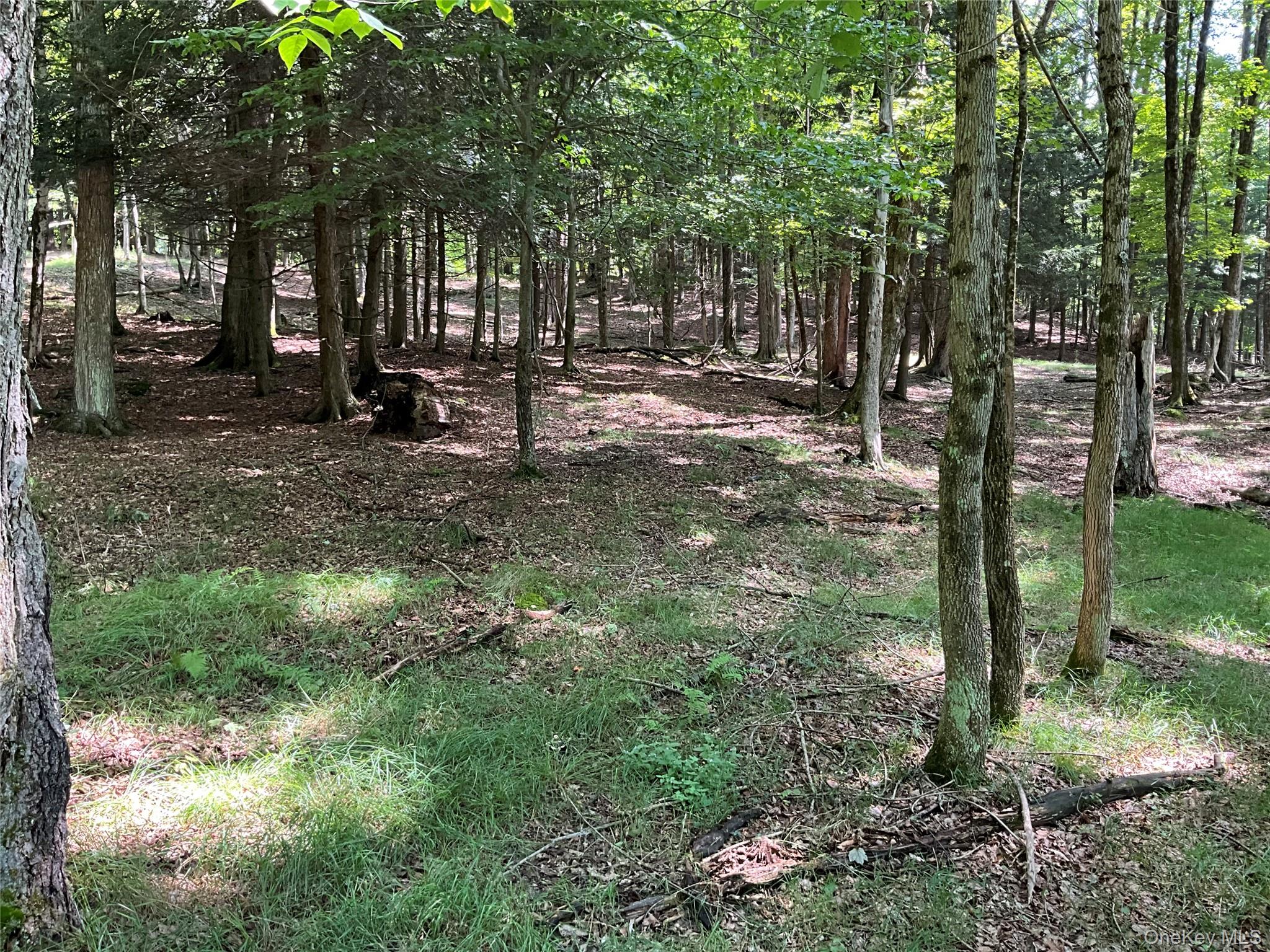 213 Button Rd, Other, NY 13438