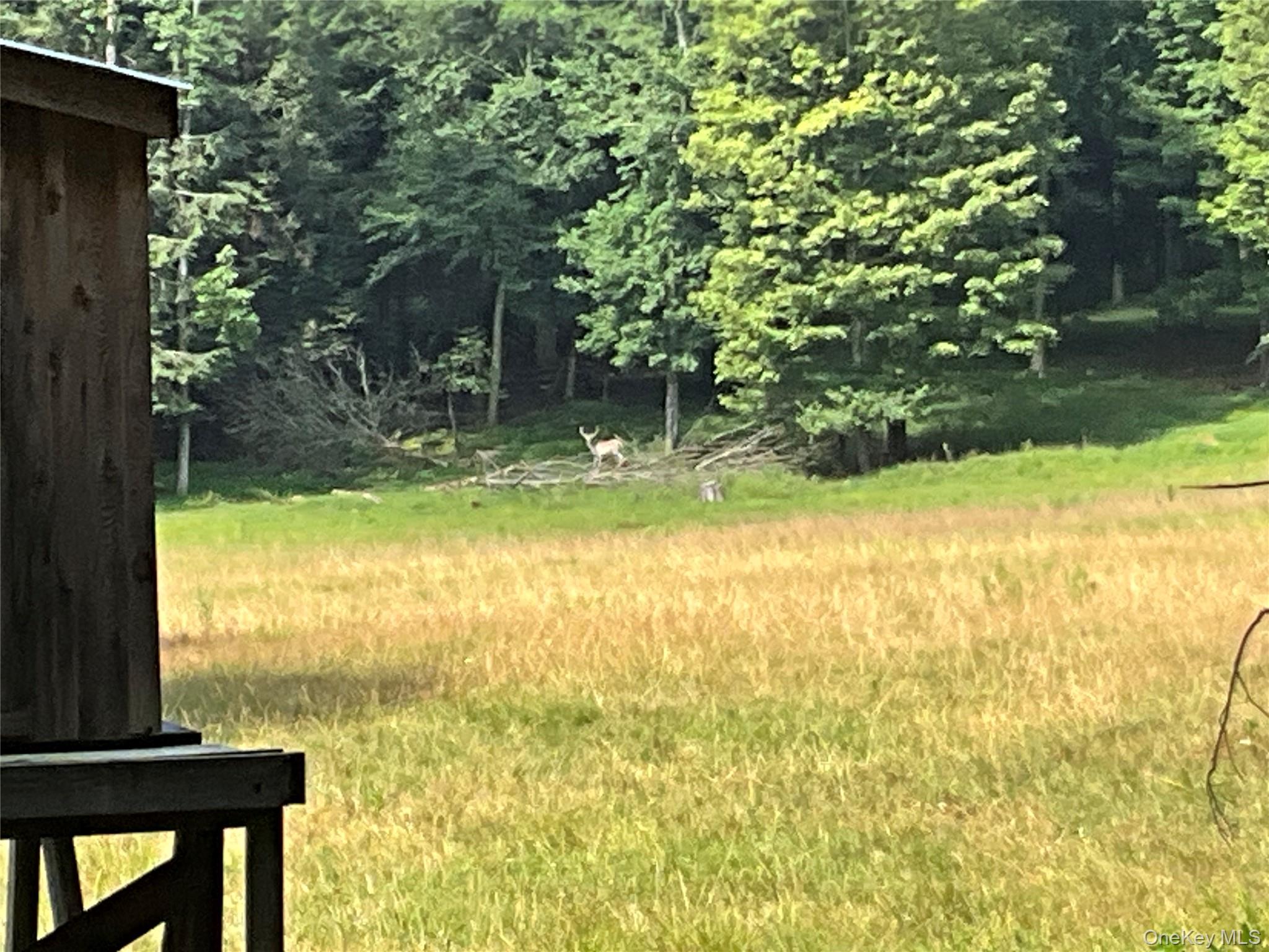 213 Button Rd, Other, NY 13438