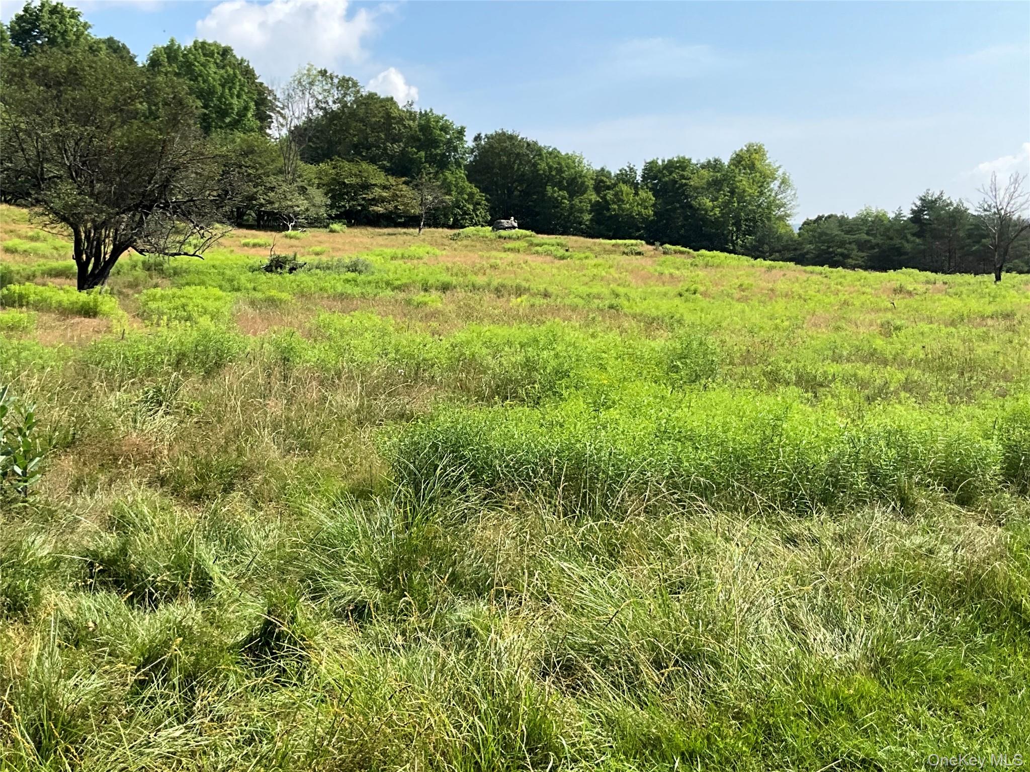 213 Button Rd, Other, NY 13438