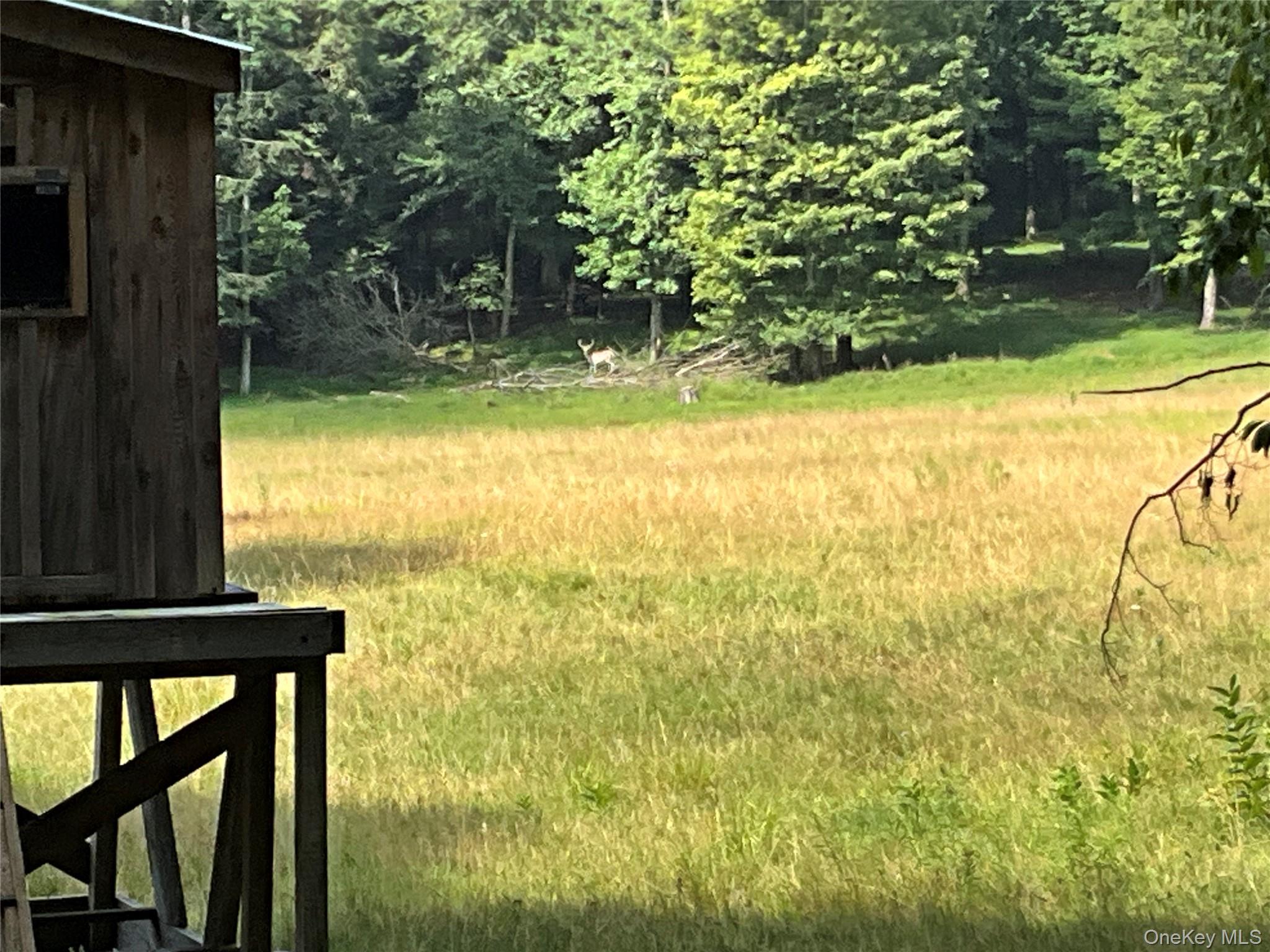 213 Button Rd, Other, NY 13438