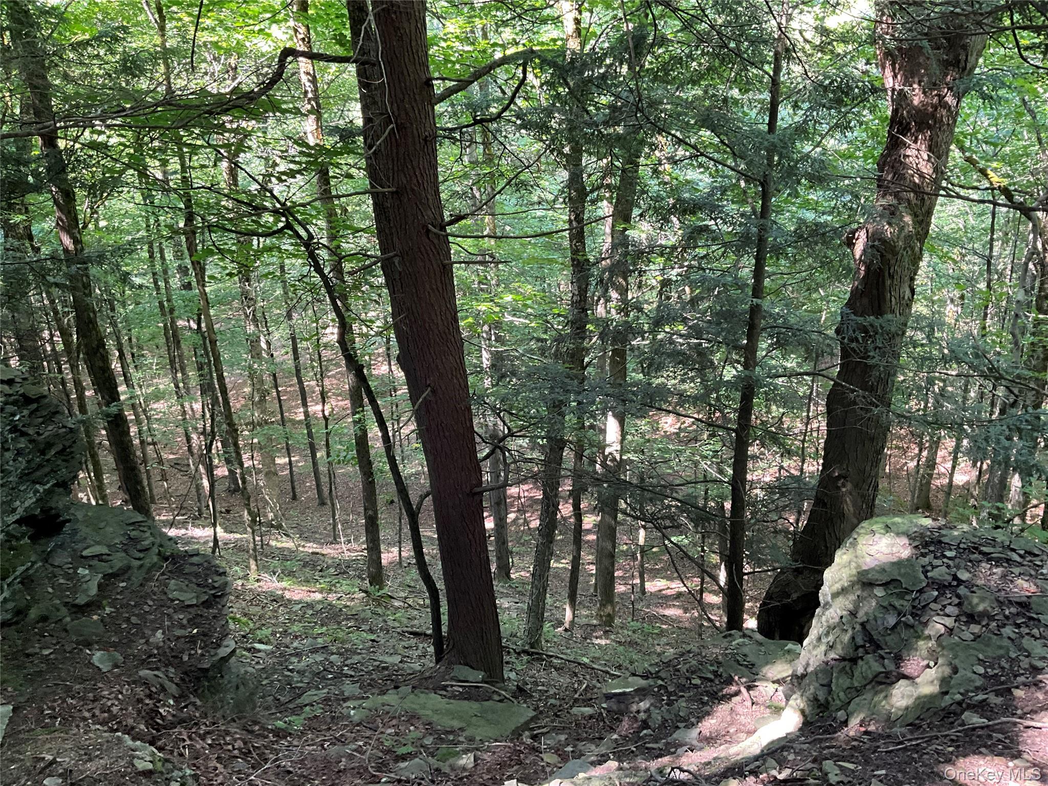 213 Button Rd, Other, NY 13438