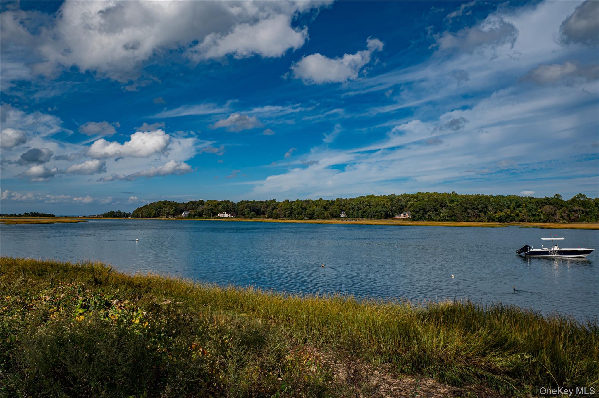 25 Violet Road, Kings Park, NY 11754