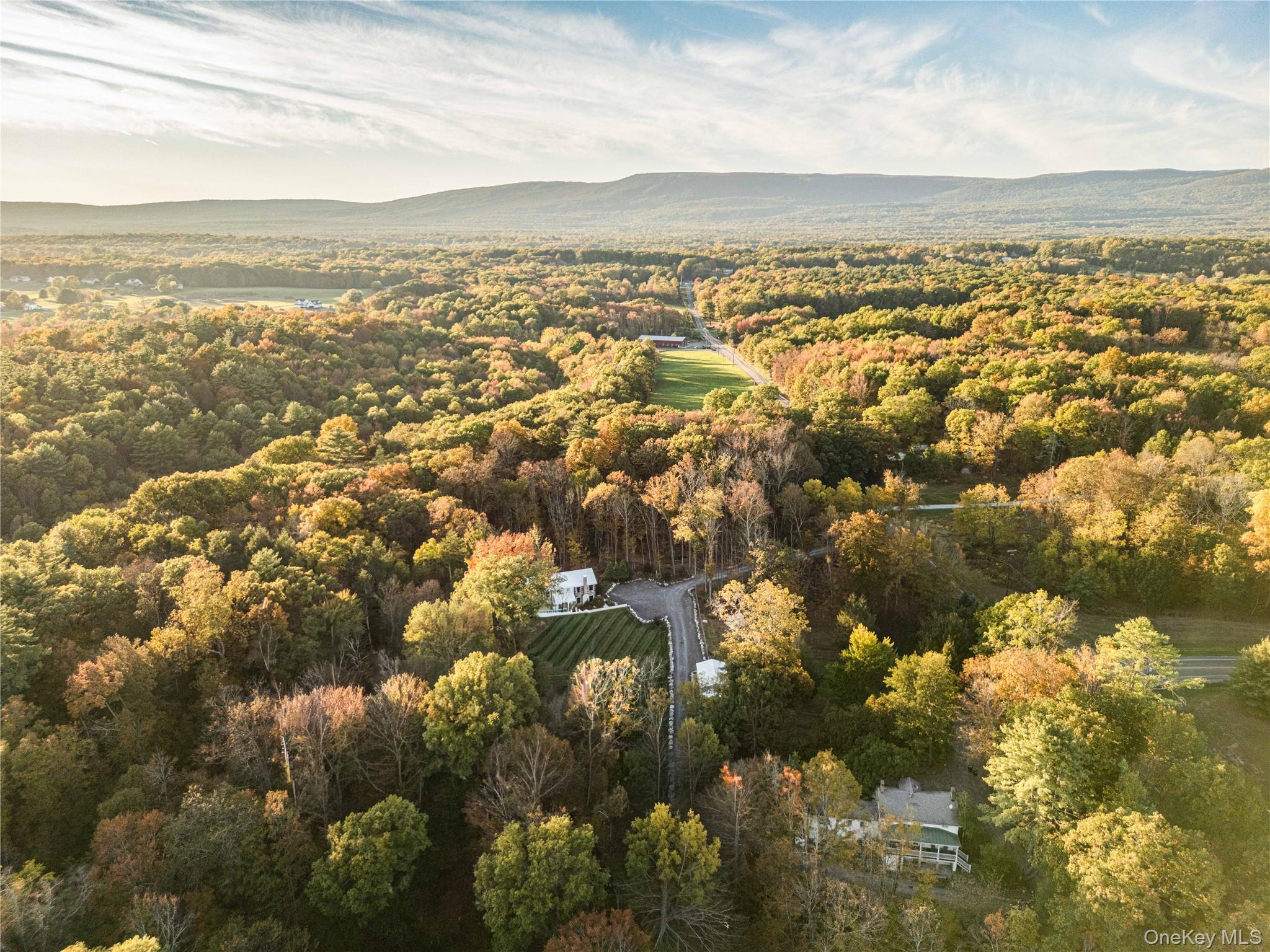 1017 Bruyn Turnpike, Pine Bush, NY 12566