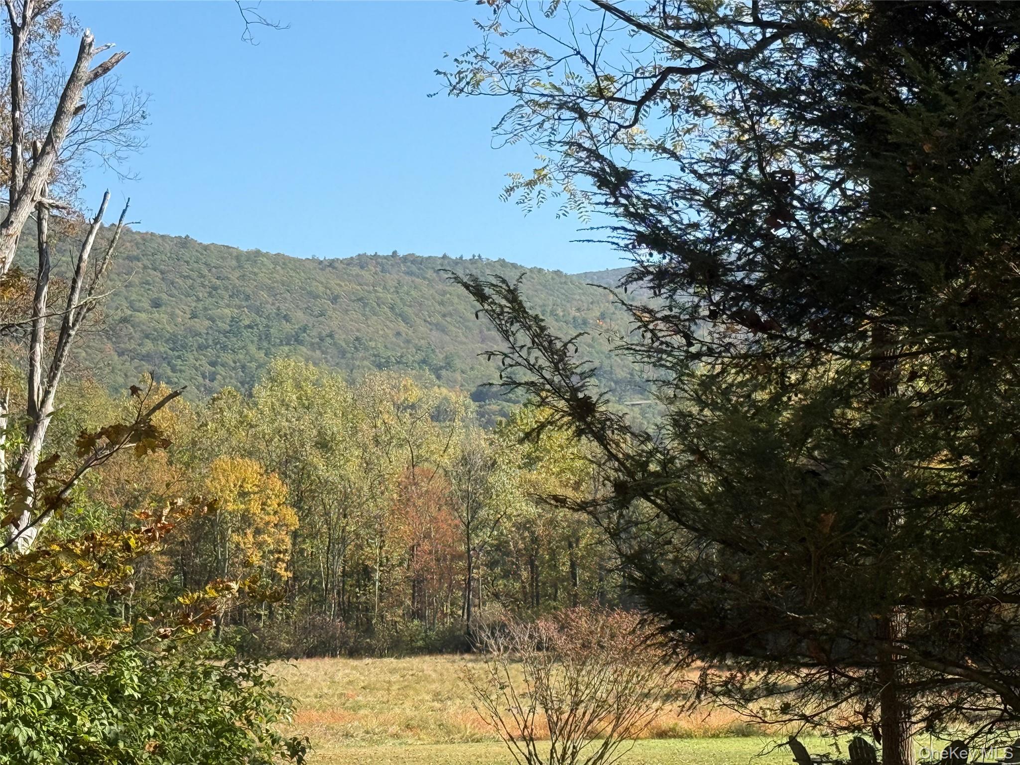 TBD Country Club, Ellenville, NY 12428