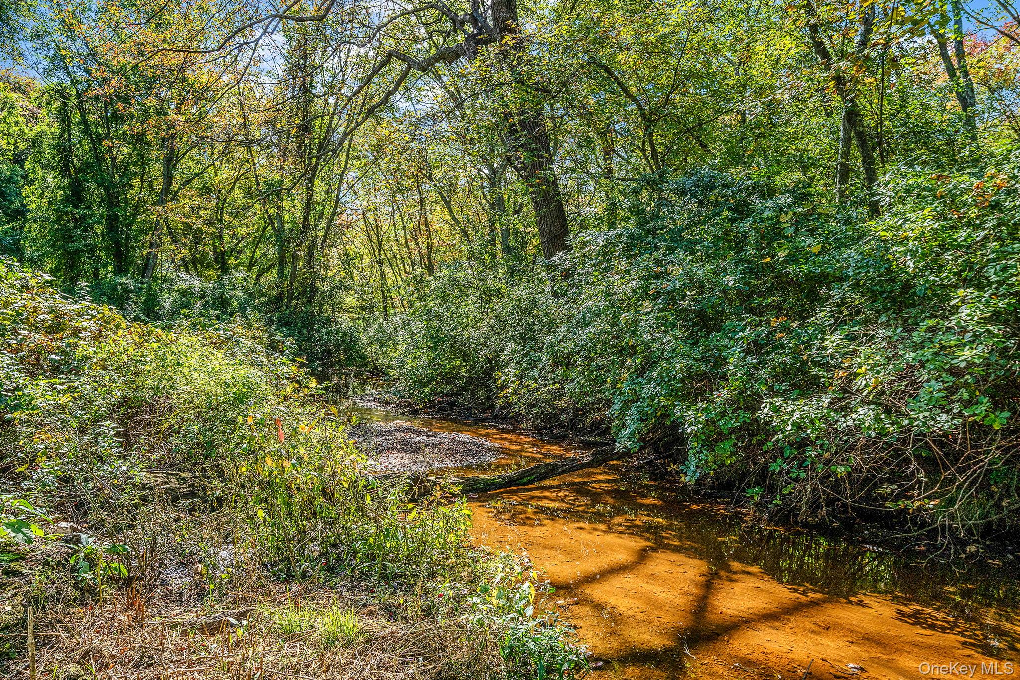 172 W 24th Street, Deer Park, NY 11729