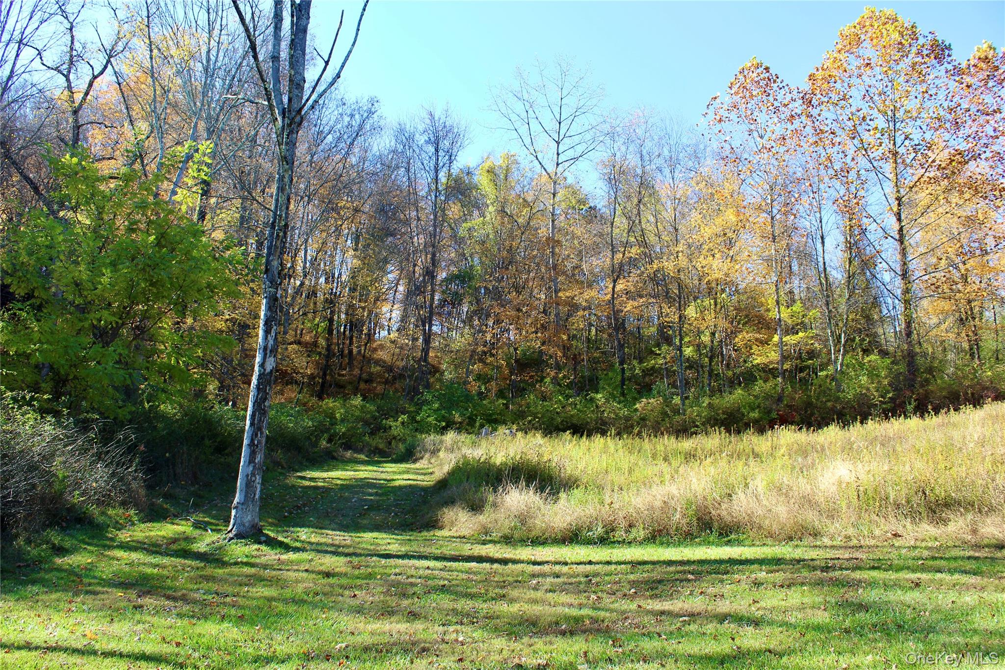 3 Spruce Hill, Amenia, NY 12501