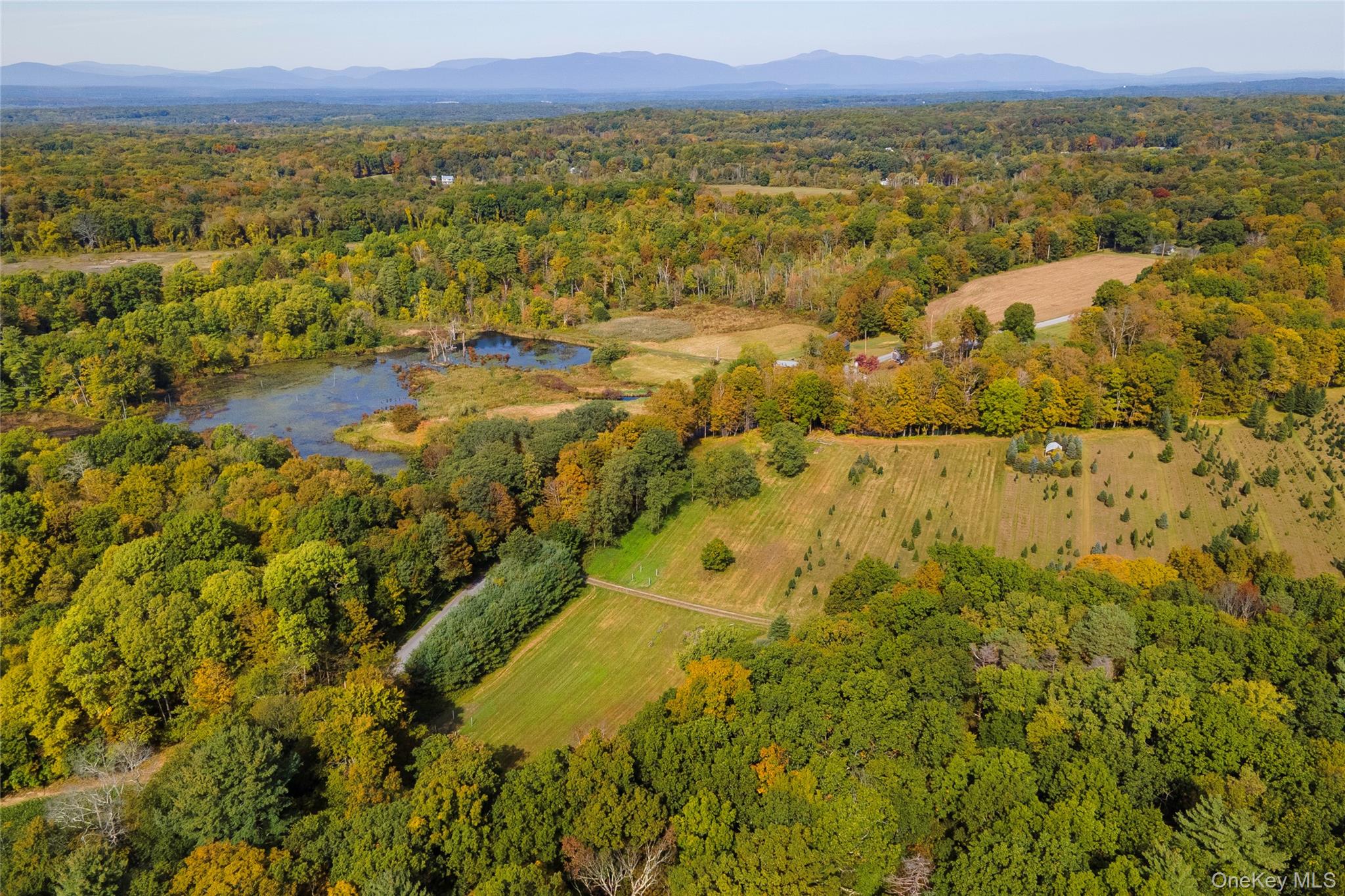 191 White Schoolhouse Rd, Rhinebeck, NY 12572