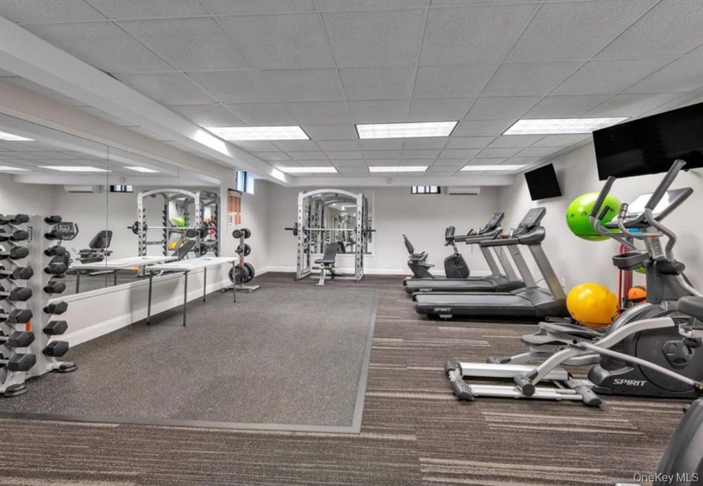 2 Townhouse Place # 3N, Great Neck, NY 11021