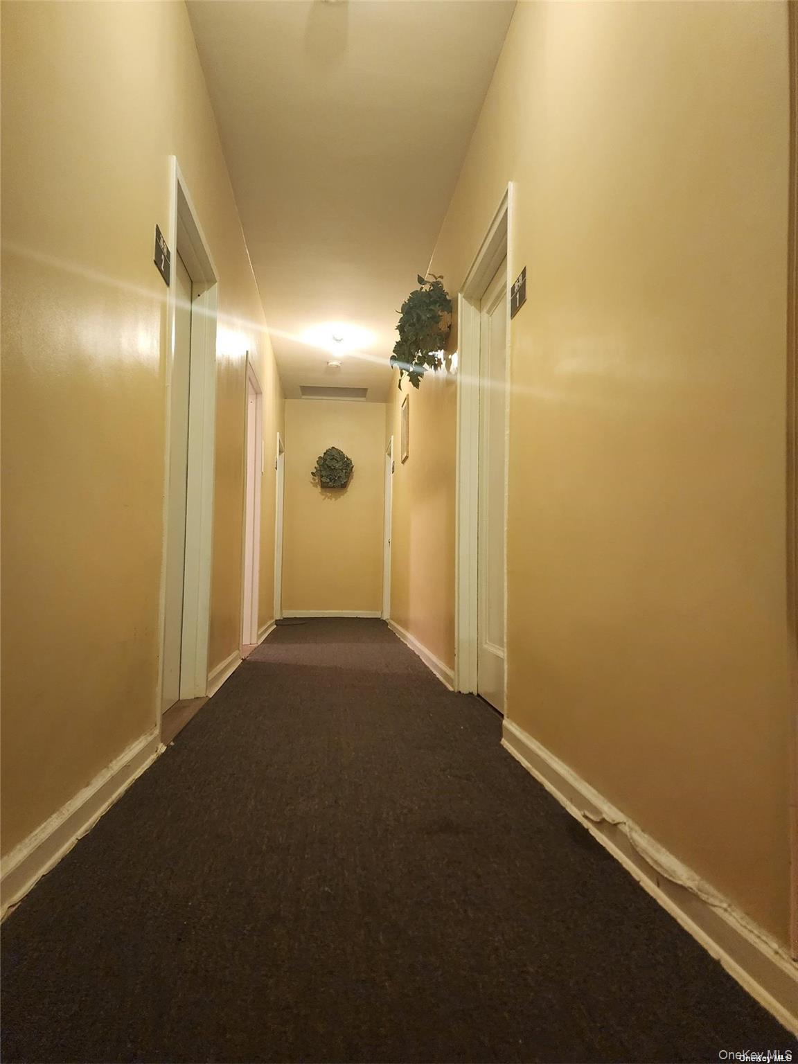 36 Hillside Avenue # 1, Williston Park, NY 11596