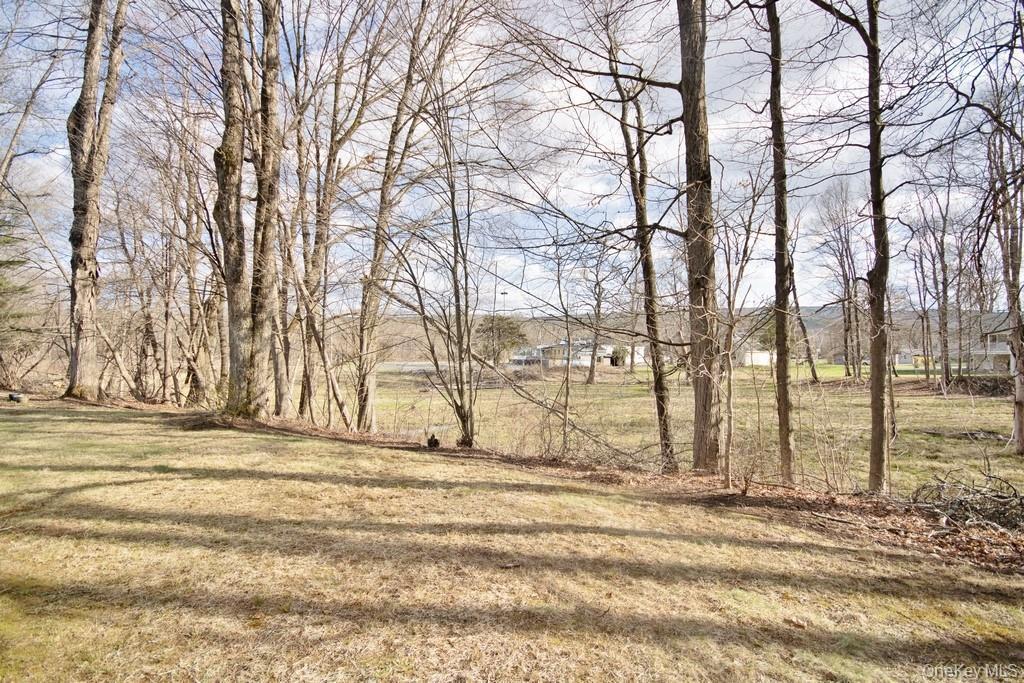 50 Carlo Drive, Kerhonkson, NY 12446