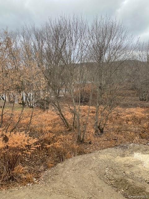 1 High Street, Port Jervis, NY 12771