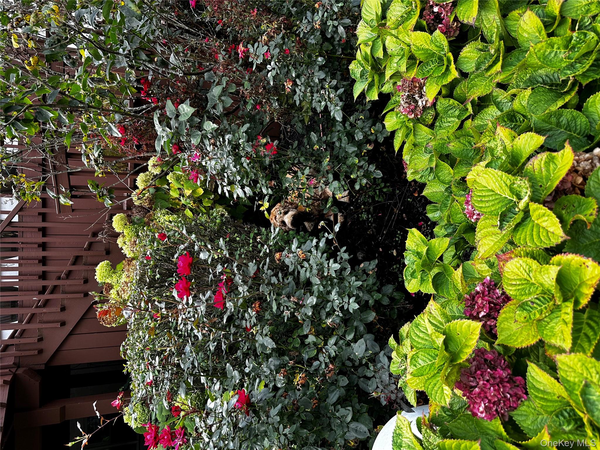 1 Eunice Lane, Thornwood, NY 10594