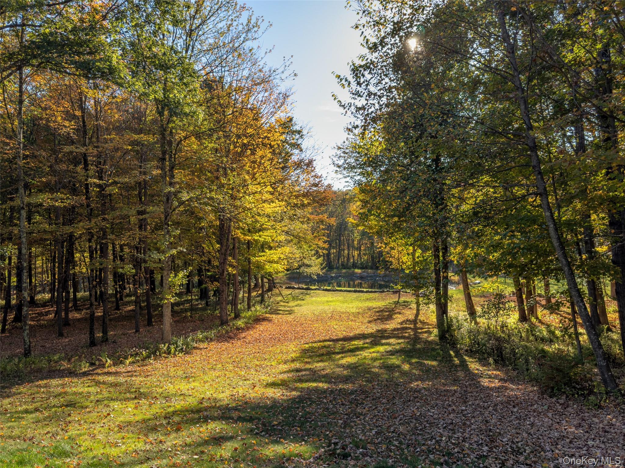 271 Texas Hill Road, Hillsdale, NY 12529