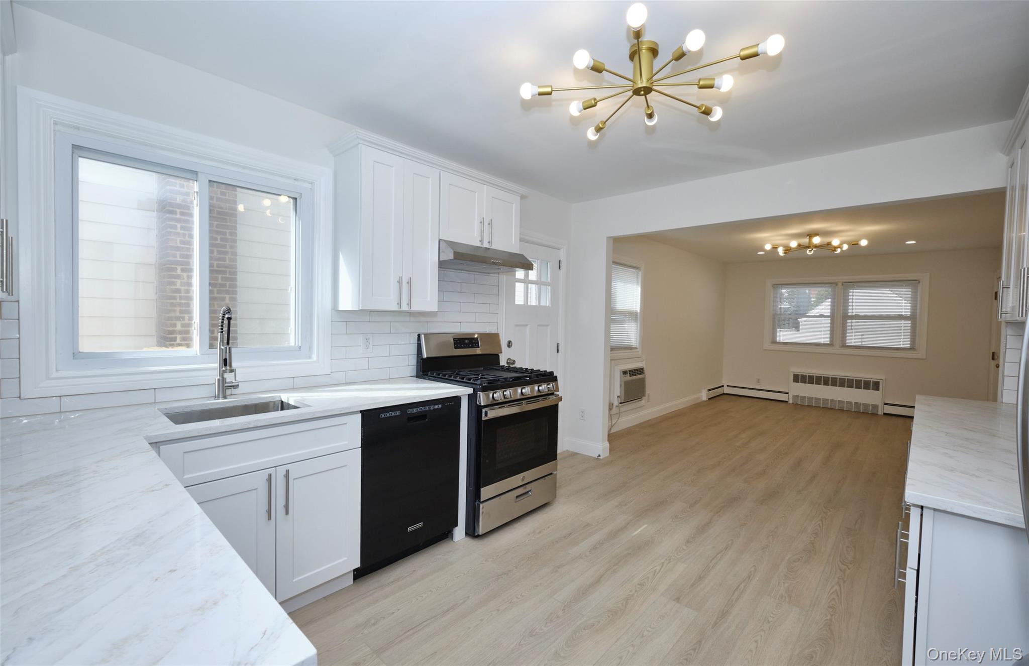 9 Court Street, Elmont, NY 11003