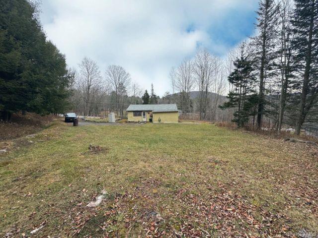 49 Ryan Road, Hunter, NY 12444