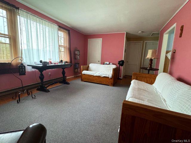 49 Ryan Road, Hunter, NY 12444