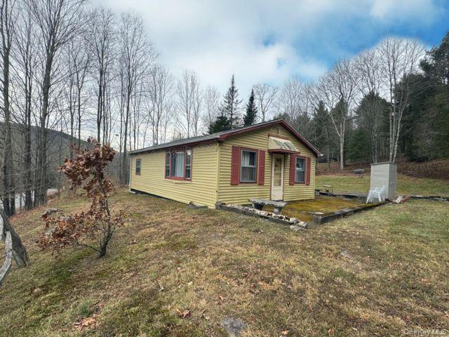 49 Ryan Road, Hunter, NY 12444