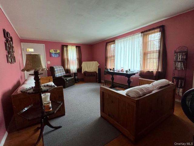 49 Ryan Road, Hunter, NY 12444