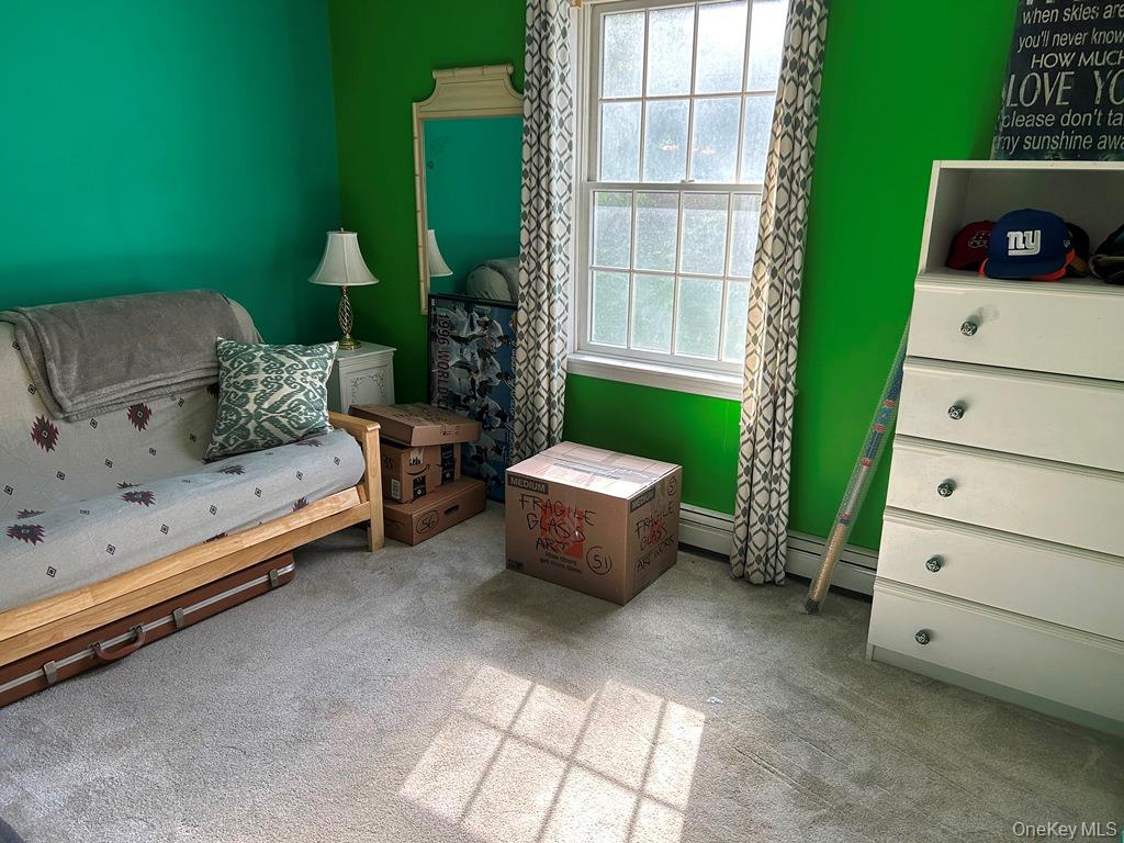 105 Sheldon Road, Wingdale, NY 12594