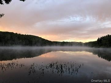 238 Trout Brook Road, Roscoe, NY 12776