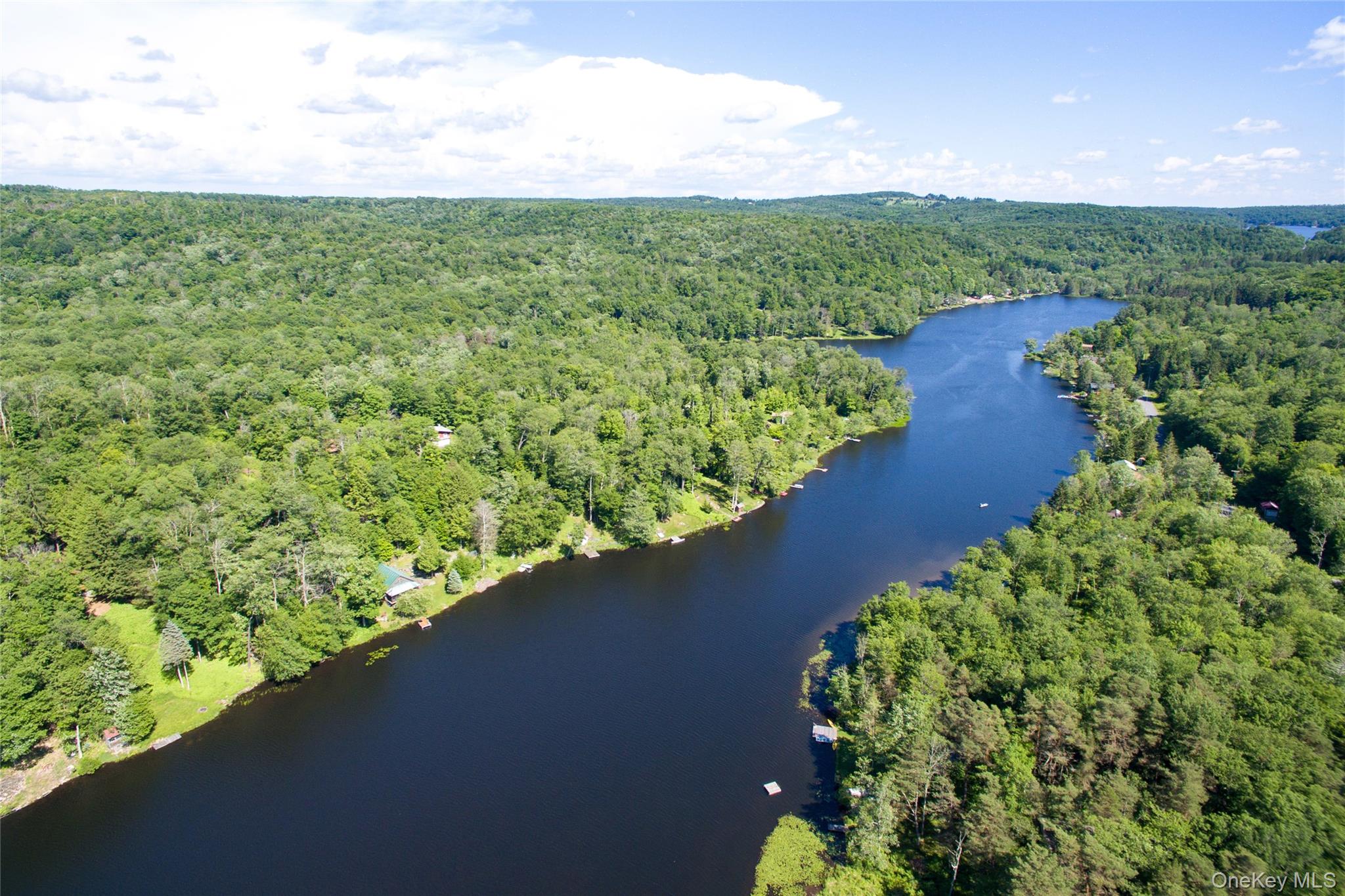 238 Trout Brook Road, Roscoe, NY 12776