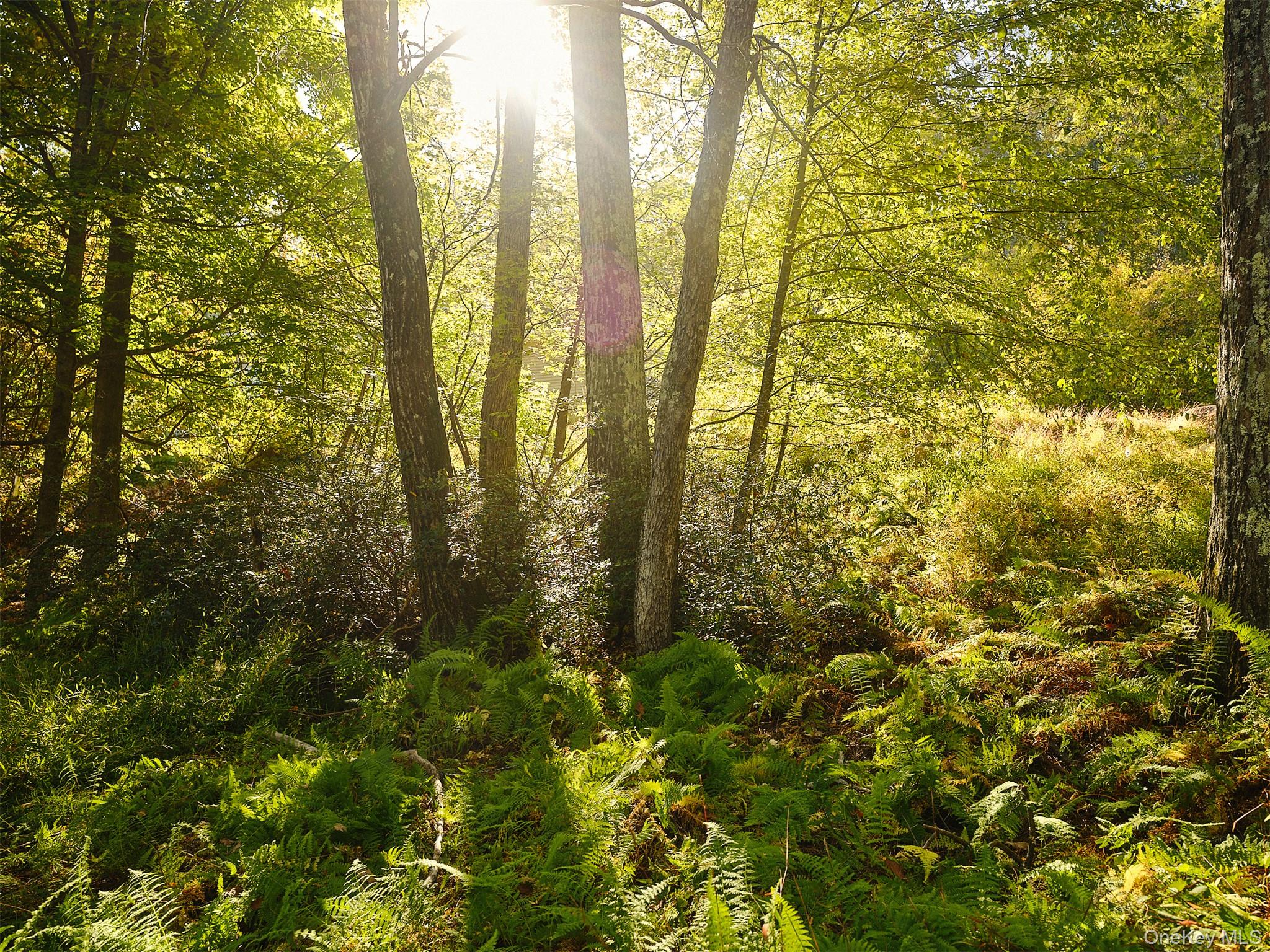 89 Stillerberg Strada, Kerhonkson, NY 12446