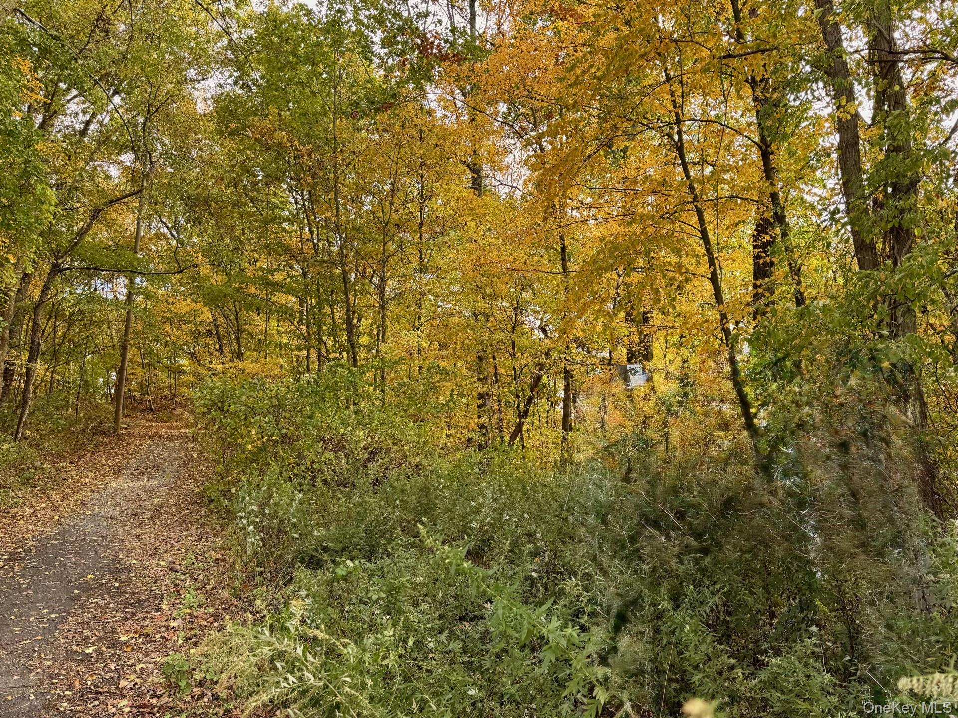 5904 Chelsea Cove N, Hopewell Junction, NY 12533