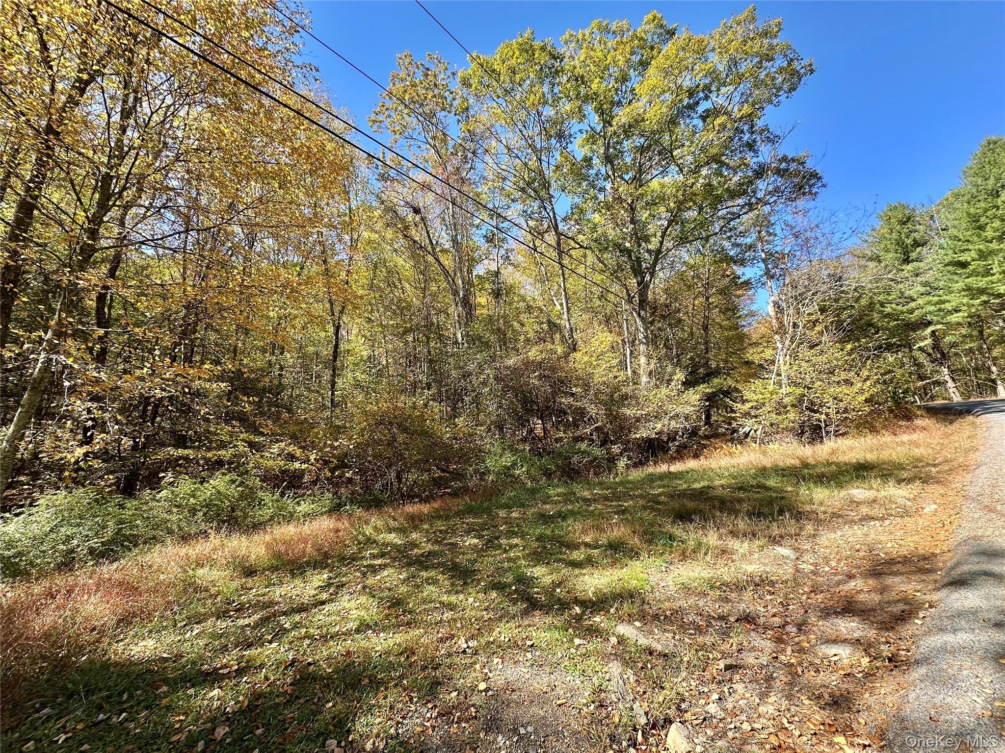 Aldrich Road, Wurtsboro, NY 12790