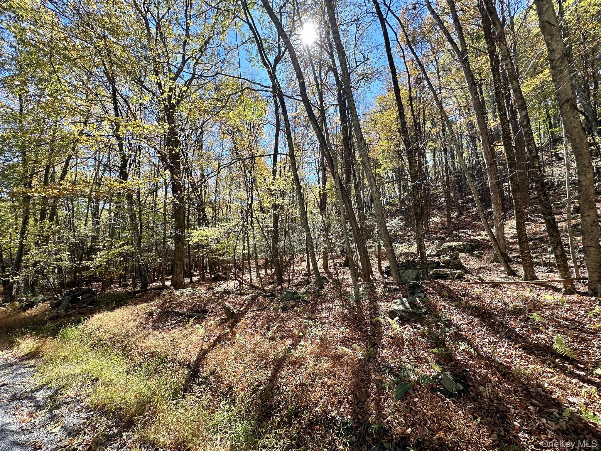 Aldrich Road, Wurtsboro, NY 12790