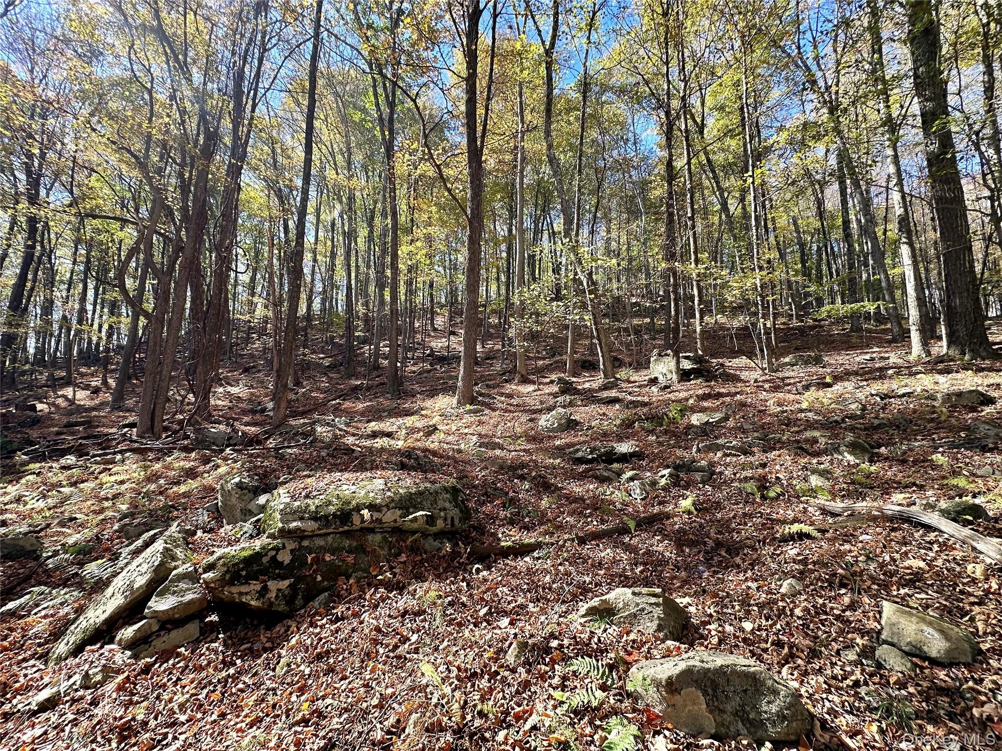 Aldrich Road, Wurtsboro, NY 12790