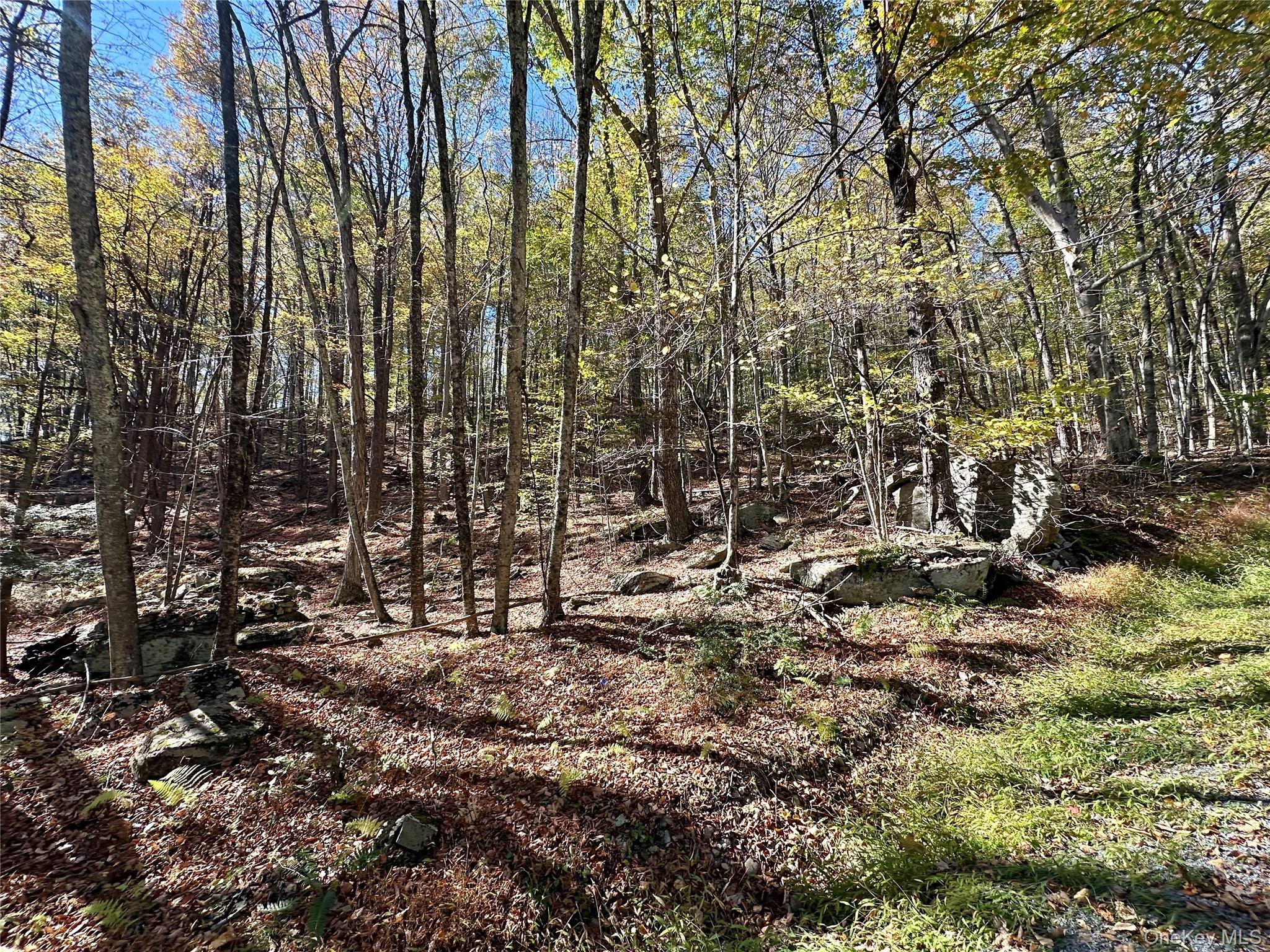 Aldrich Road, Wurtsboro, NY 12790