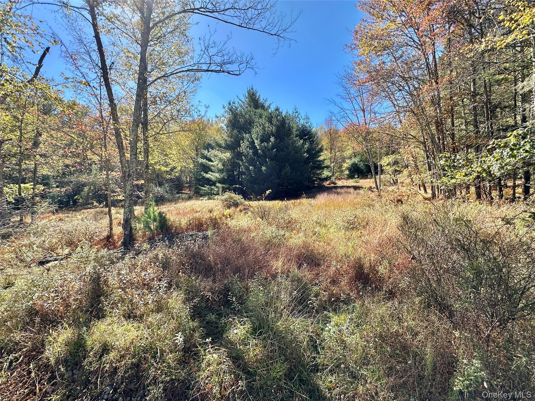 Aldrich Road, Wurtsboro, NY 12790