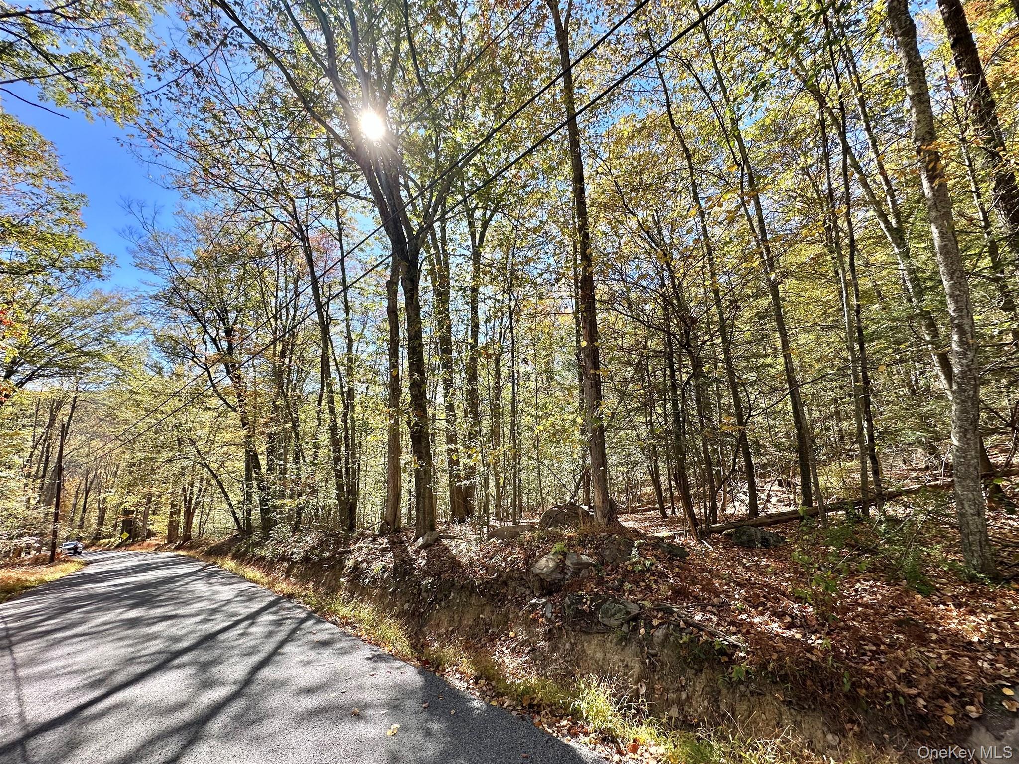 Aldrich Road, Wurtsboro, NY 12790