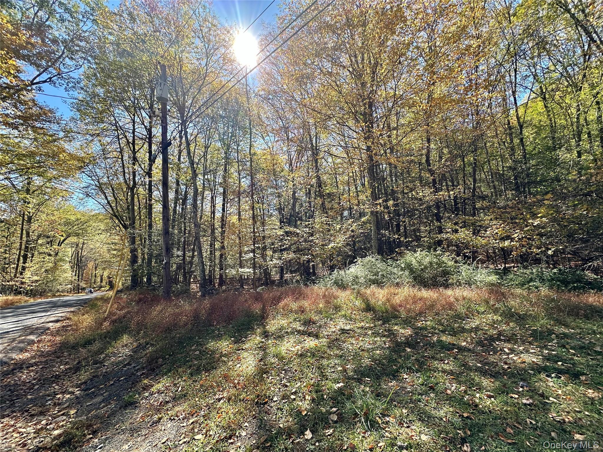 Aldrich Road, Wurtsboro, NY 12790