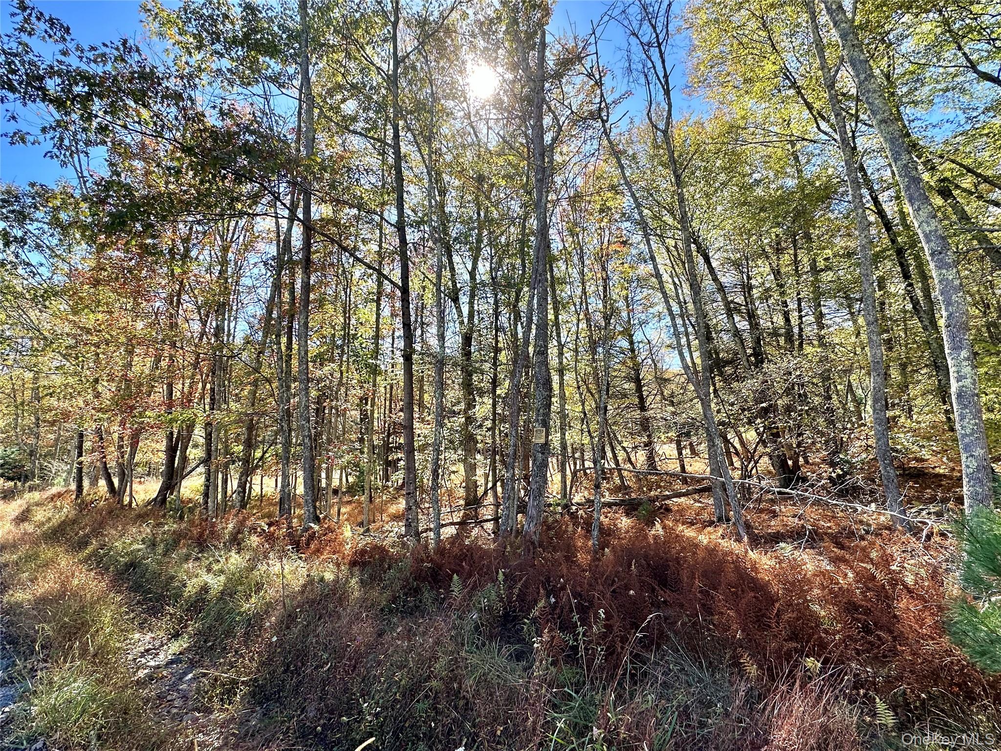 Aldrich Road, Wurtsboro, NY 12790