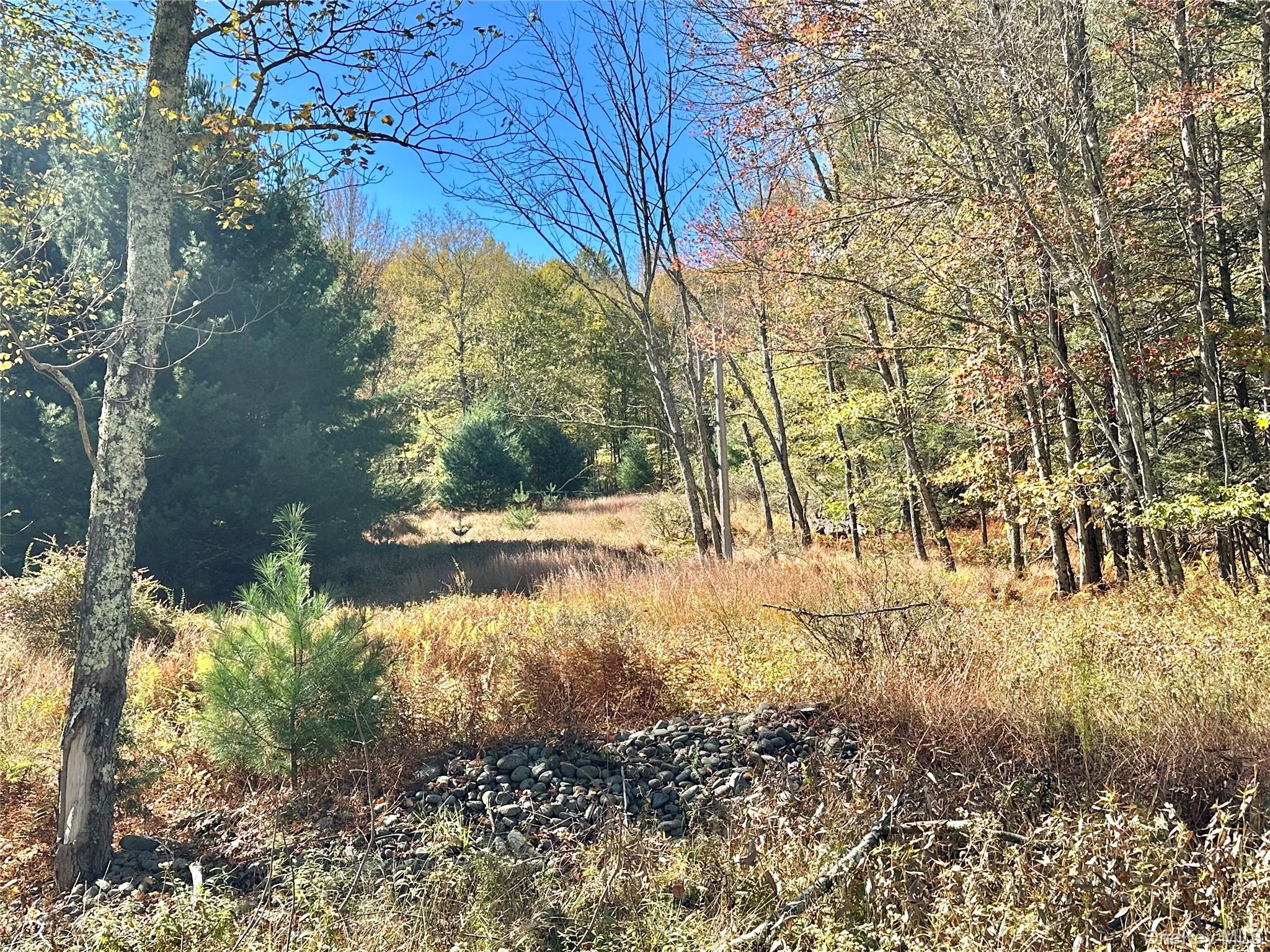 Aldrich Road, Wurtsboro, NY 12790