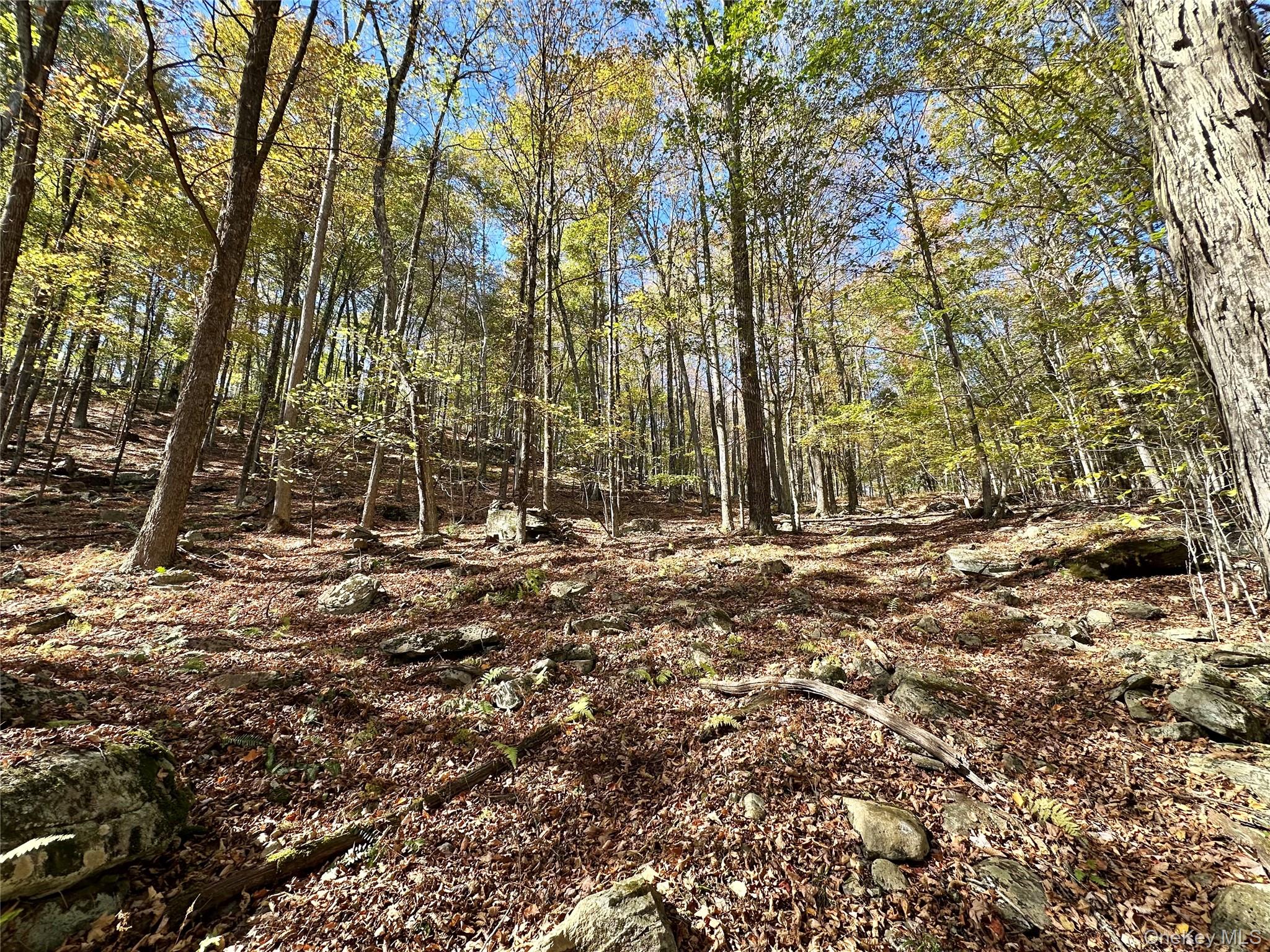 Aldrich Road, Wurtsboro, NY 12790