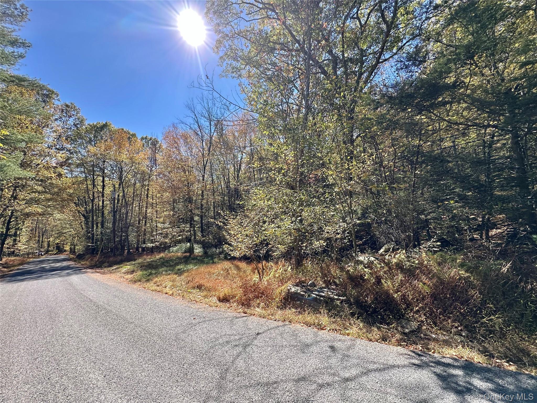 Aldrich Road, Wurtsboro, NY 12790