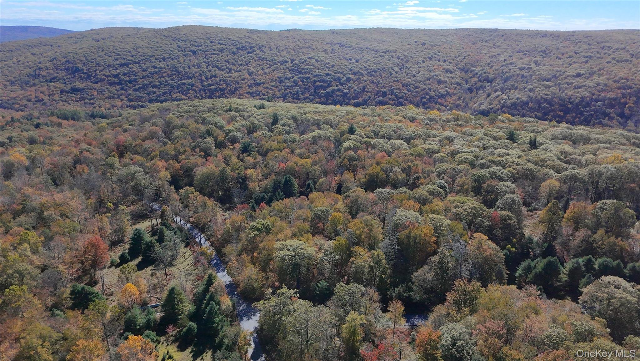 Aldrich Road, Wurtsboro, NY 12790