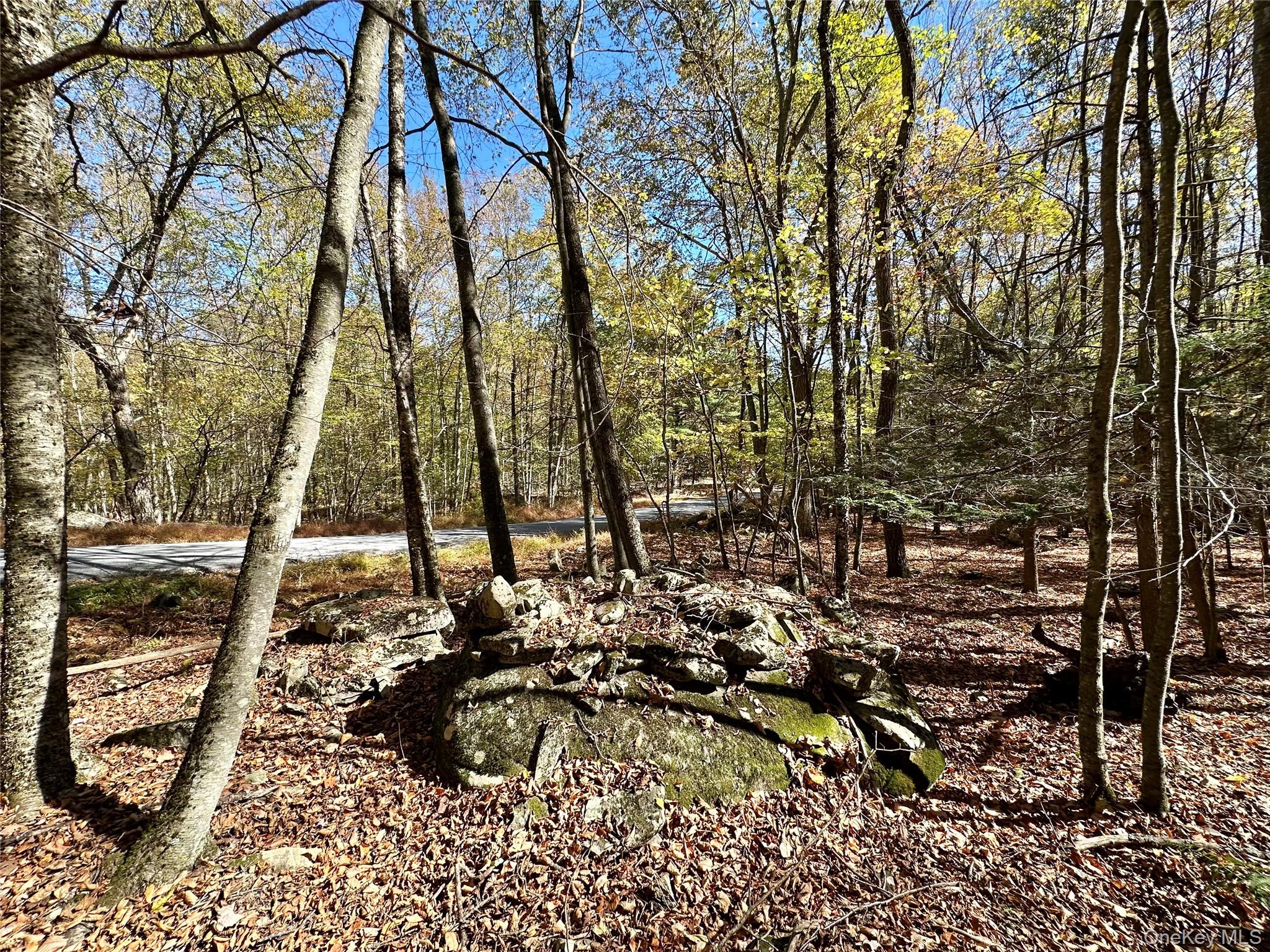 Aldrich Road, Wurtsboro, NY 12790