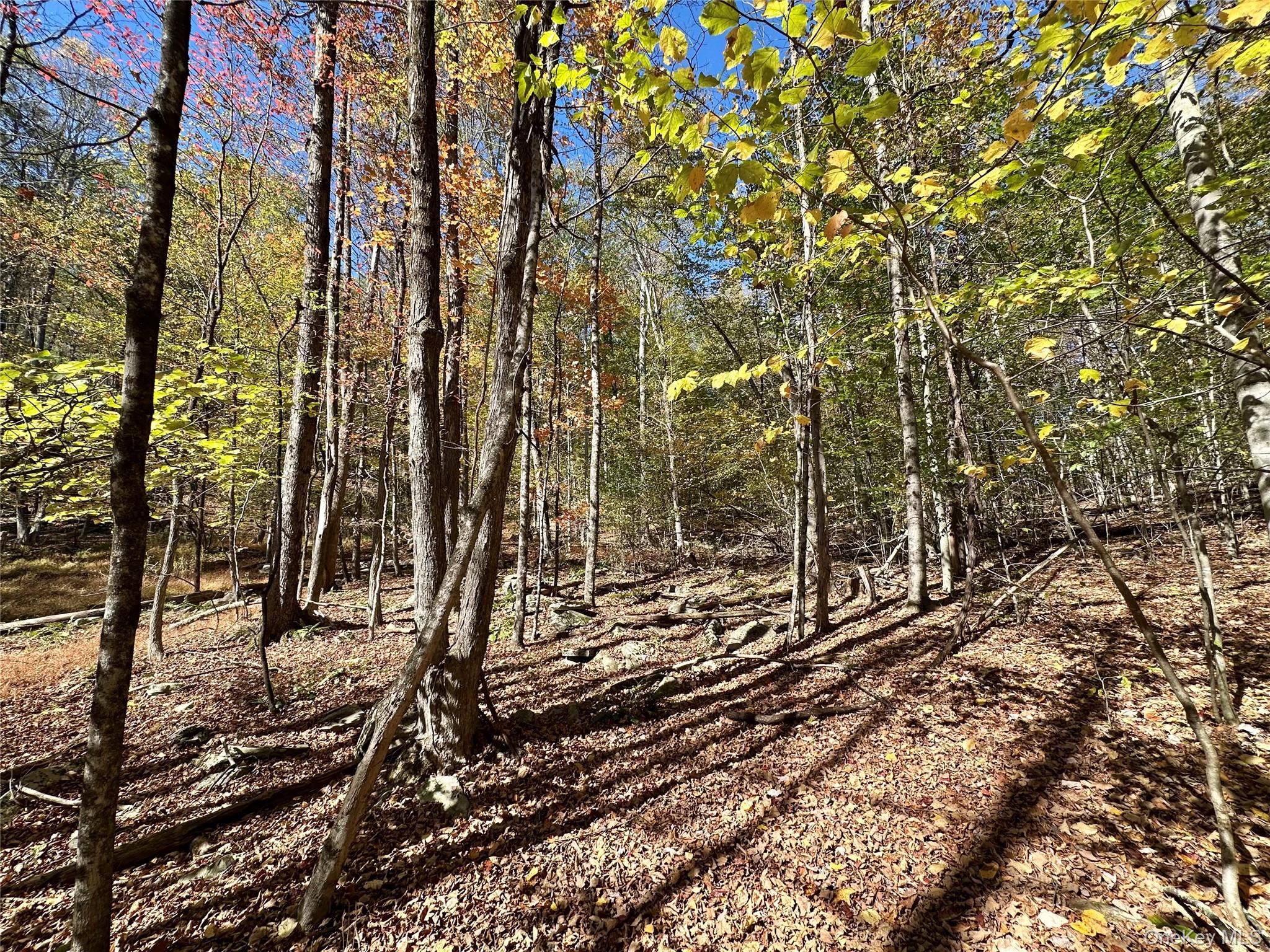 Aldrich Road, Wurtsboro, NY 12790