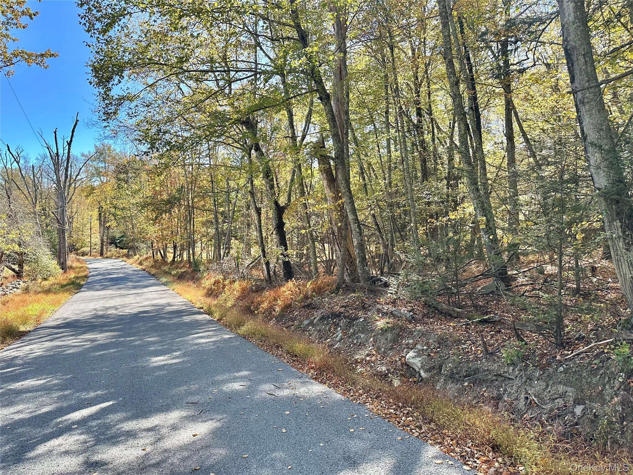 Aldrich Road, Wurtsboro, NY 12790