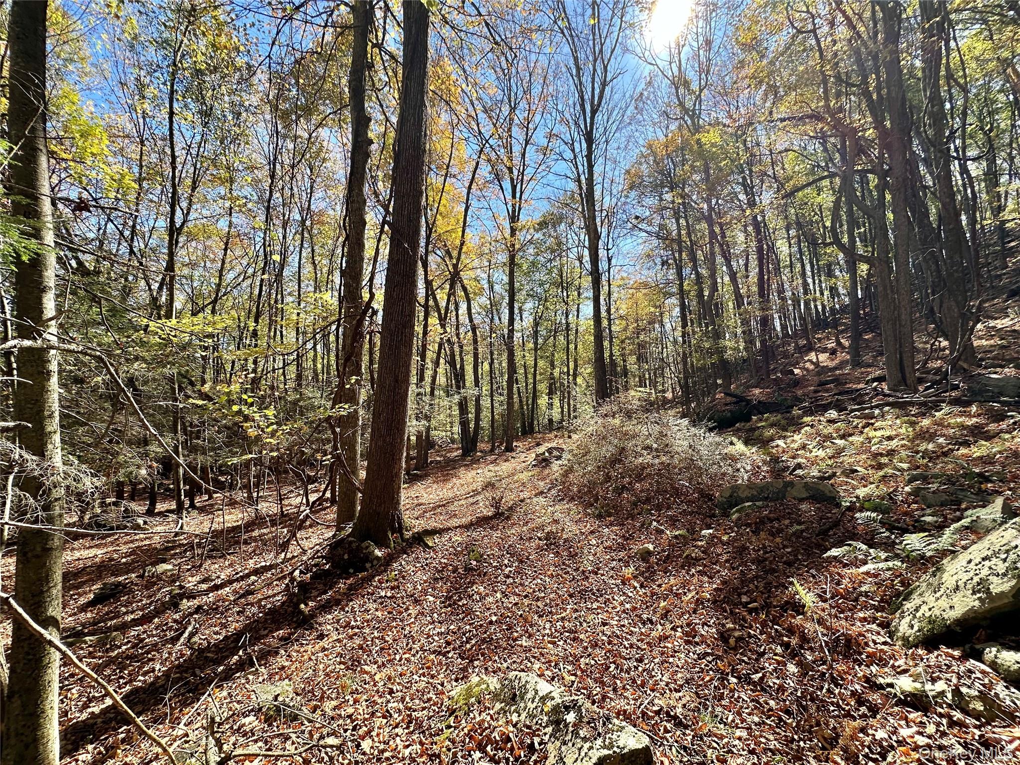 Aldrich Road, Wurtsboro, NY 12790