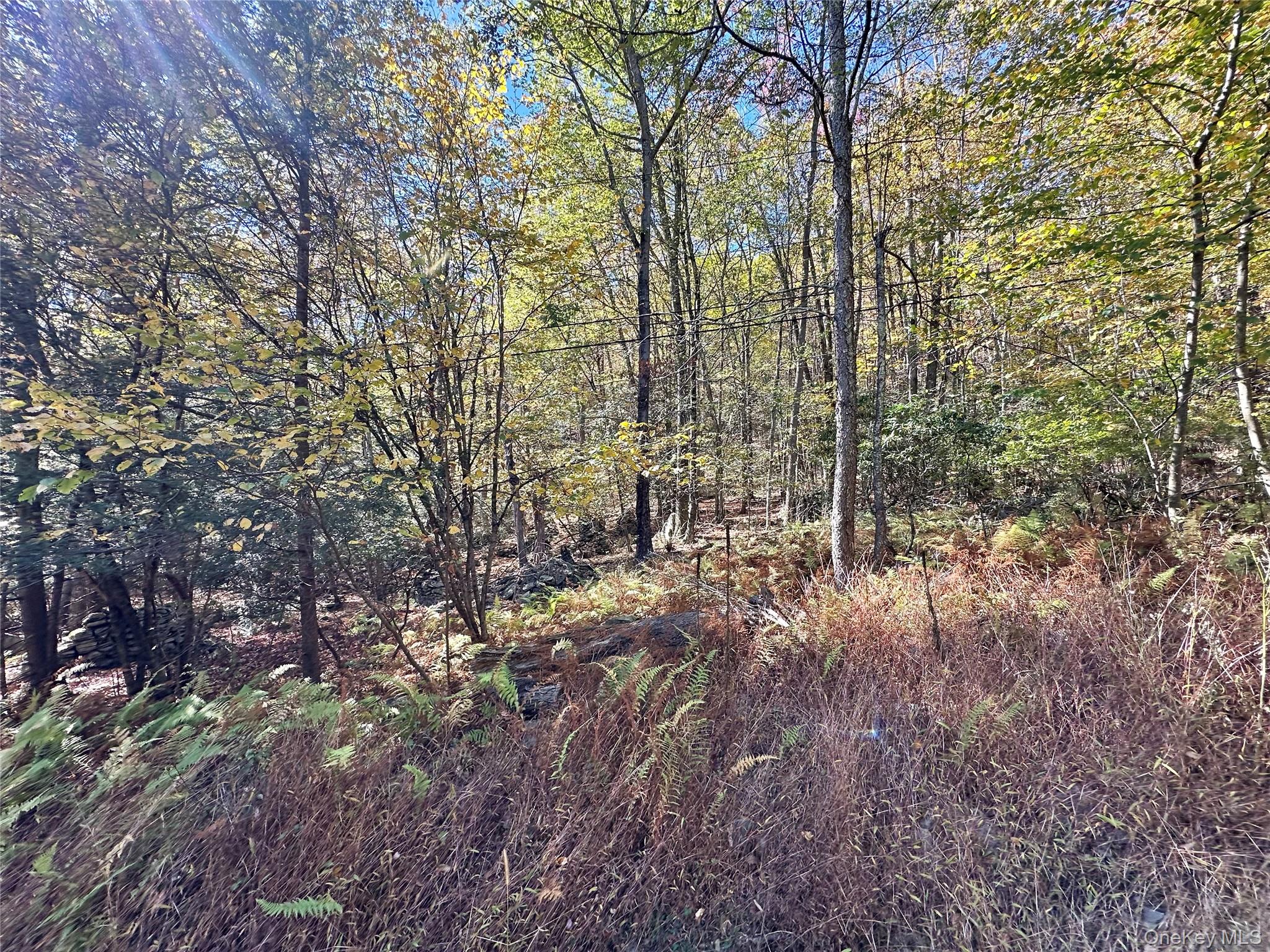 Aldrich Road, Wurtsboro, NY 12790